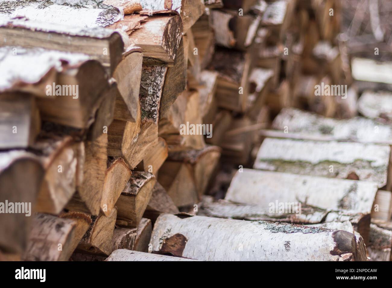Pile of firewood. Birch bark and wood logs. Stack of birch logs