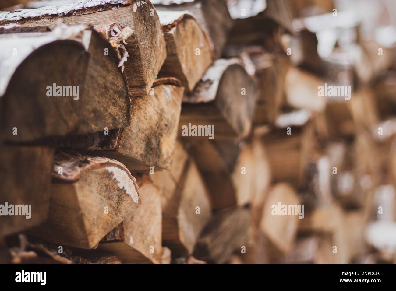 Pile of firewood. Birch bark and wood logs. Stack of birch logs