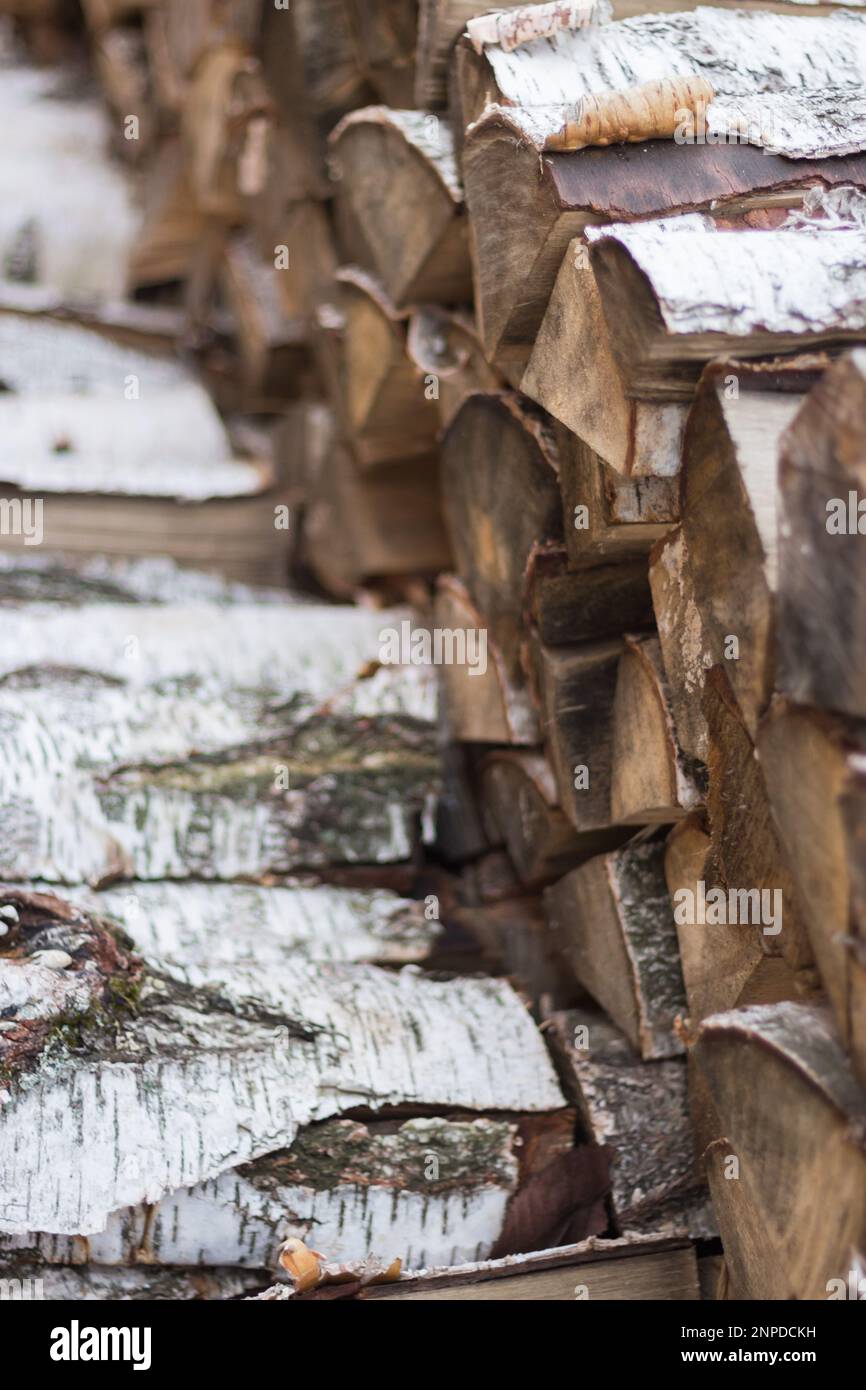 Pile of firewood. Birch bark and wood logs. Stack of birch logs