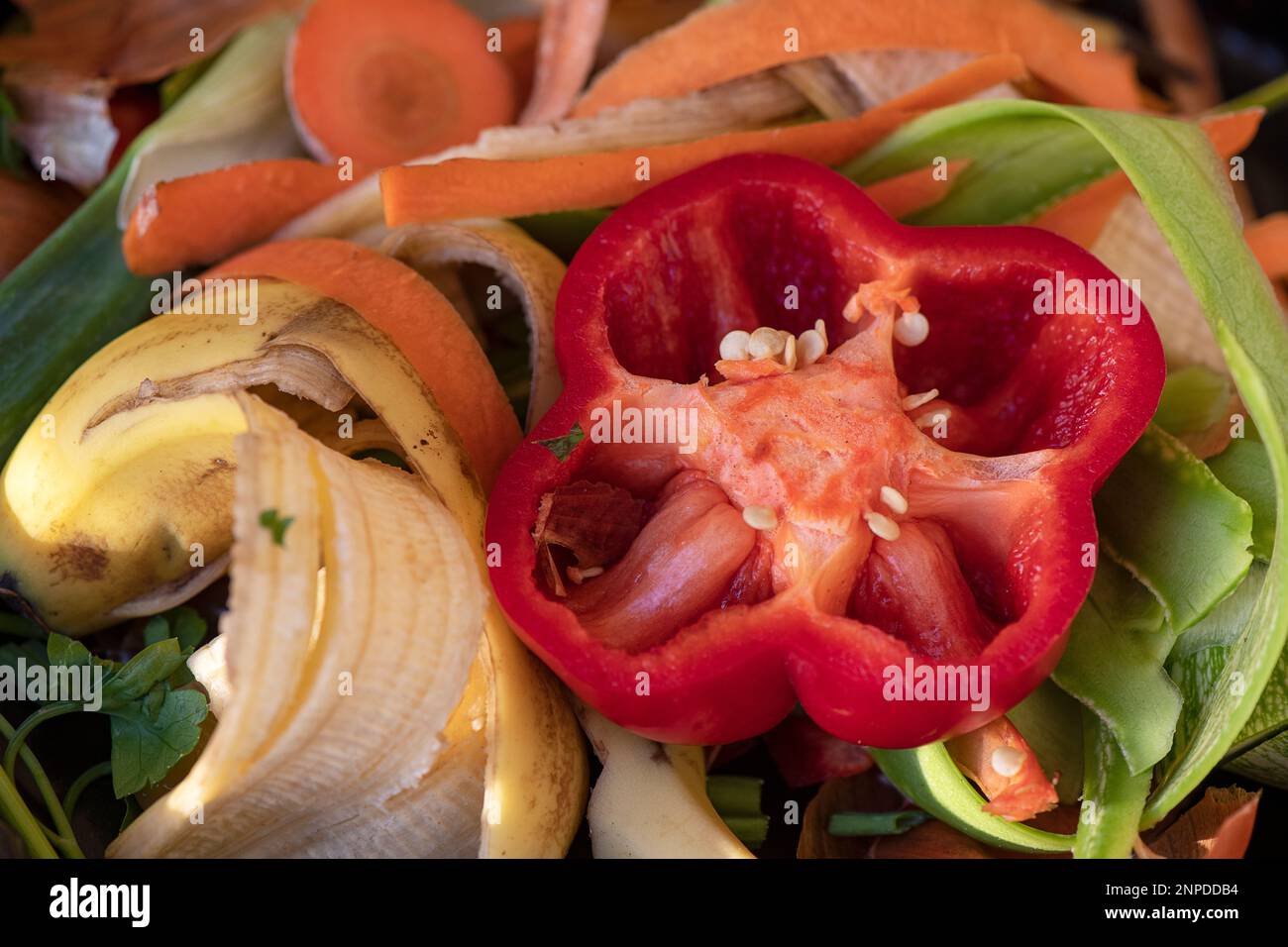Vegetable scraps, peels and skins with focus on a red pepper with visible seeds, food used for biodegradable compost or added to plant soil Stock Photo
