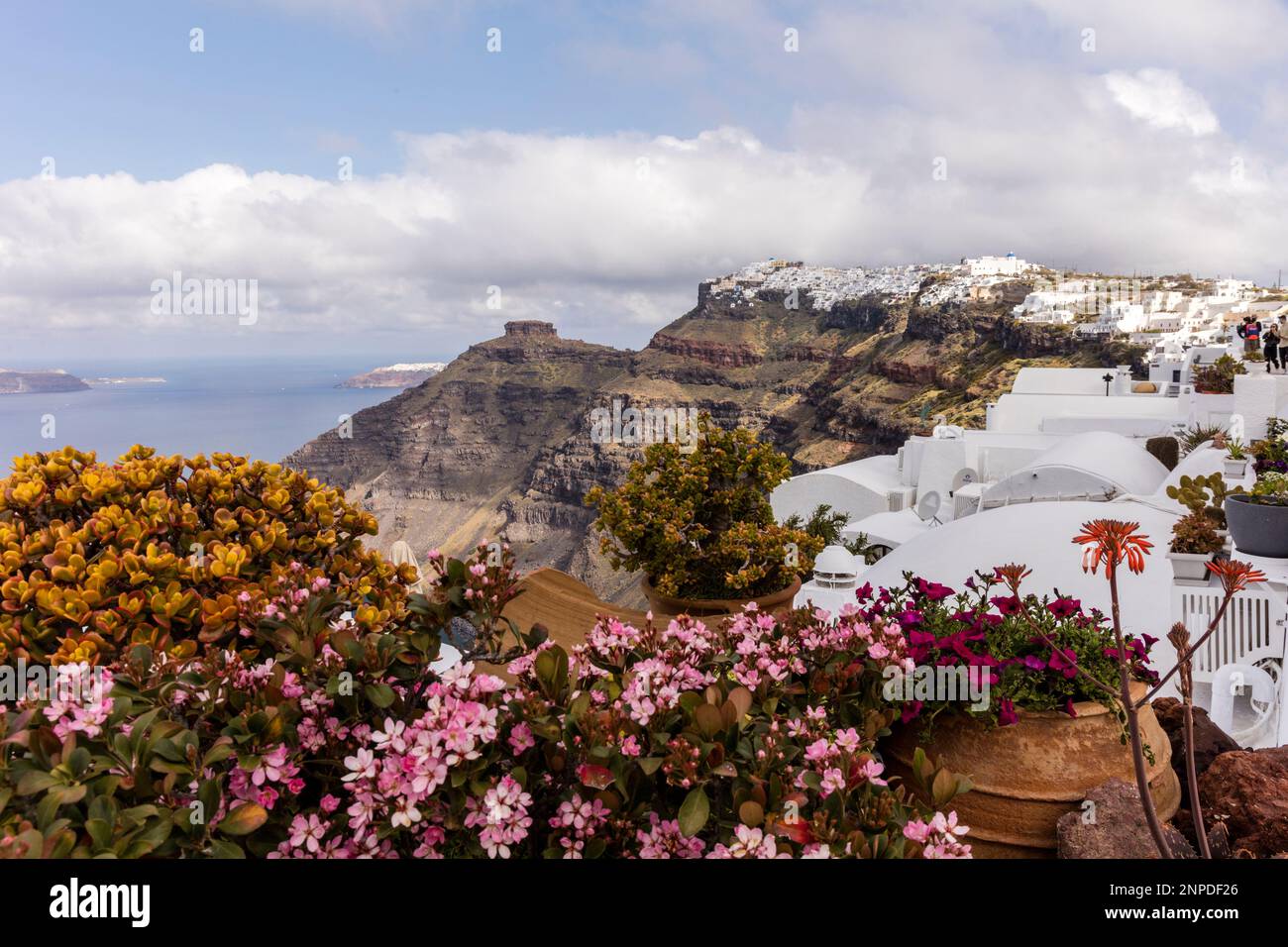 A view along the caldera towards Imerovigli with Spring wild flowers in bloom. Stock Photo