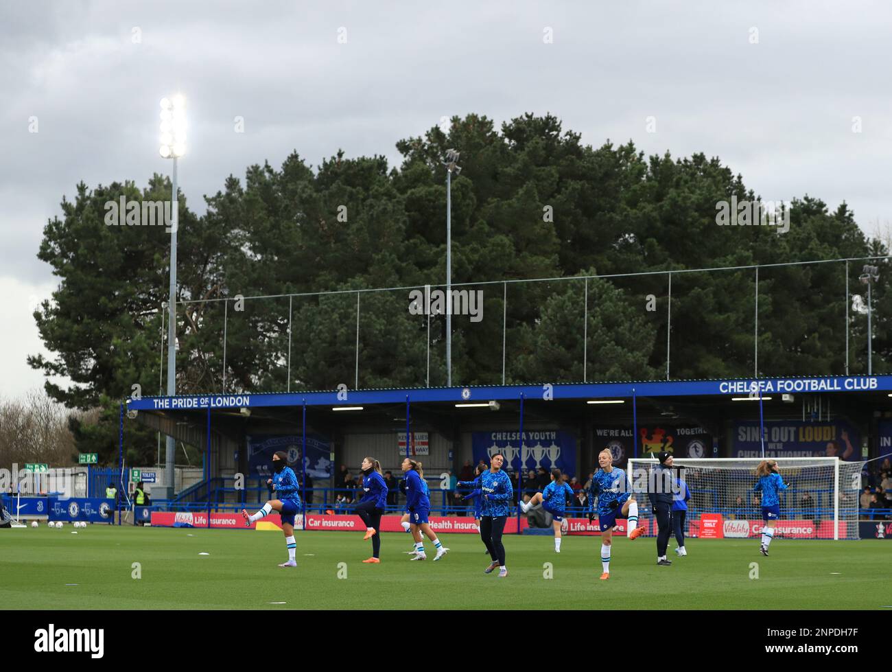 Chelsea FC - Pride of London, Todd