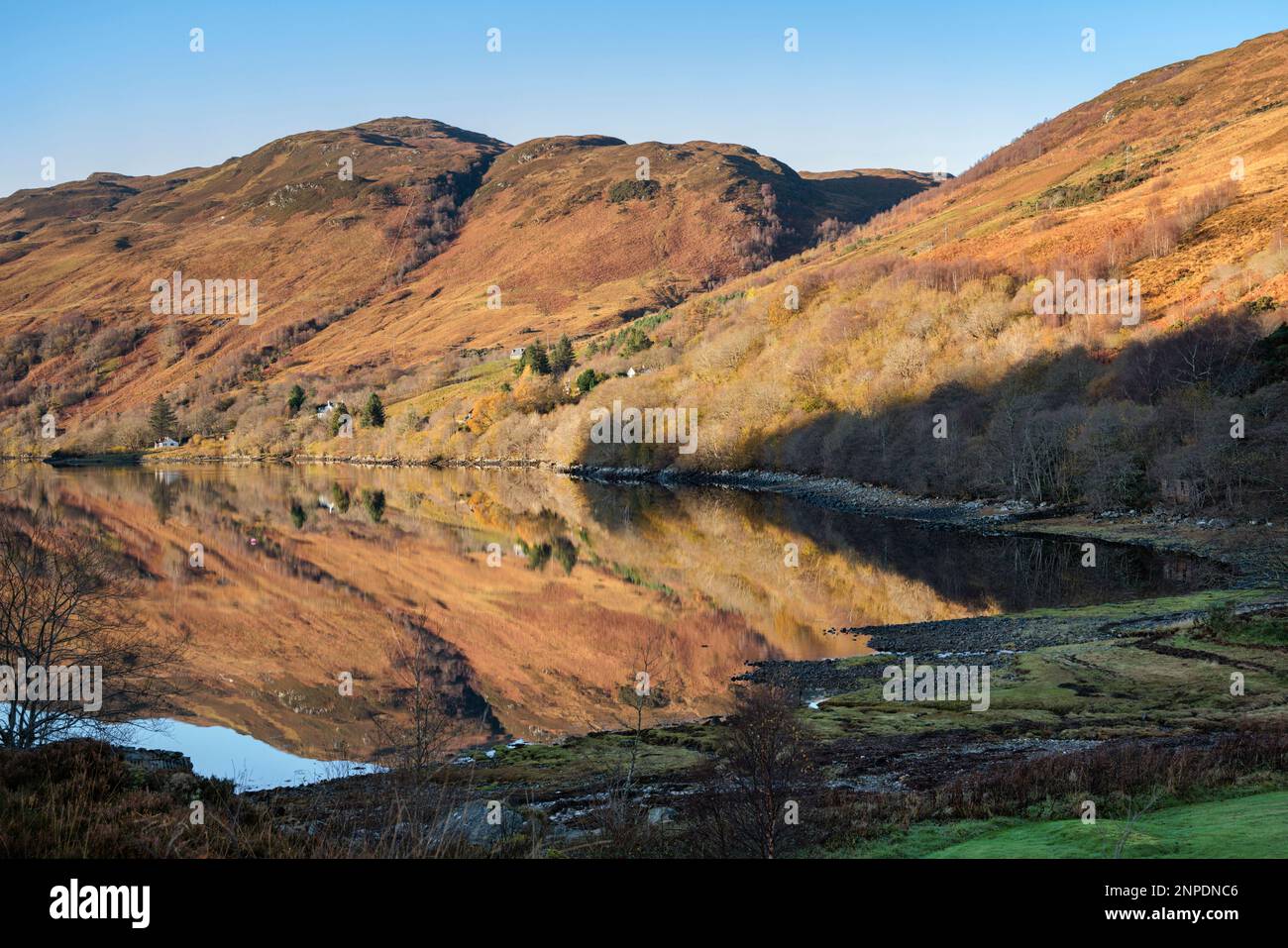 Loch Long in the Scottish Highlands Stock Photo Alamy