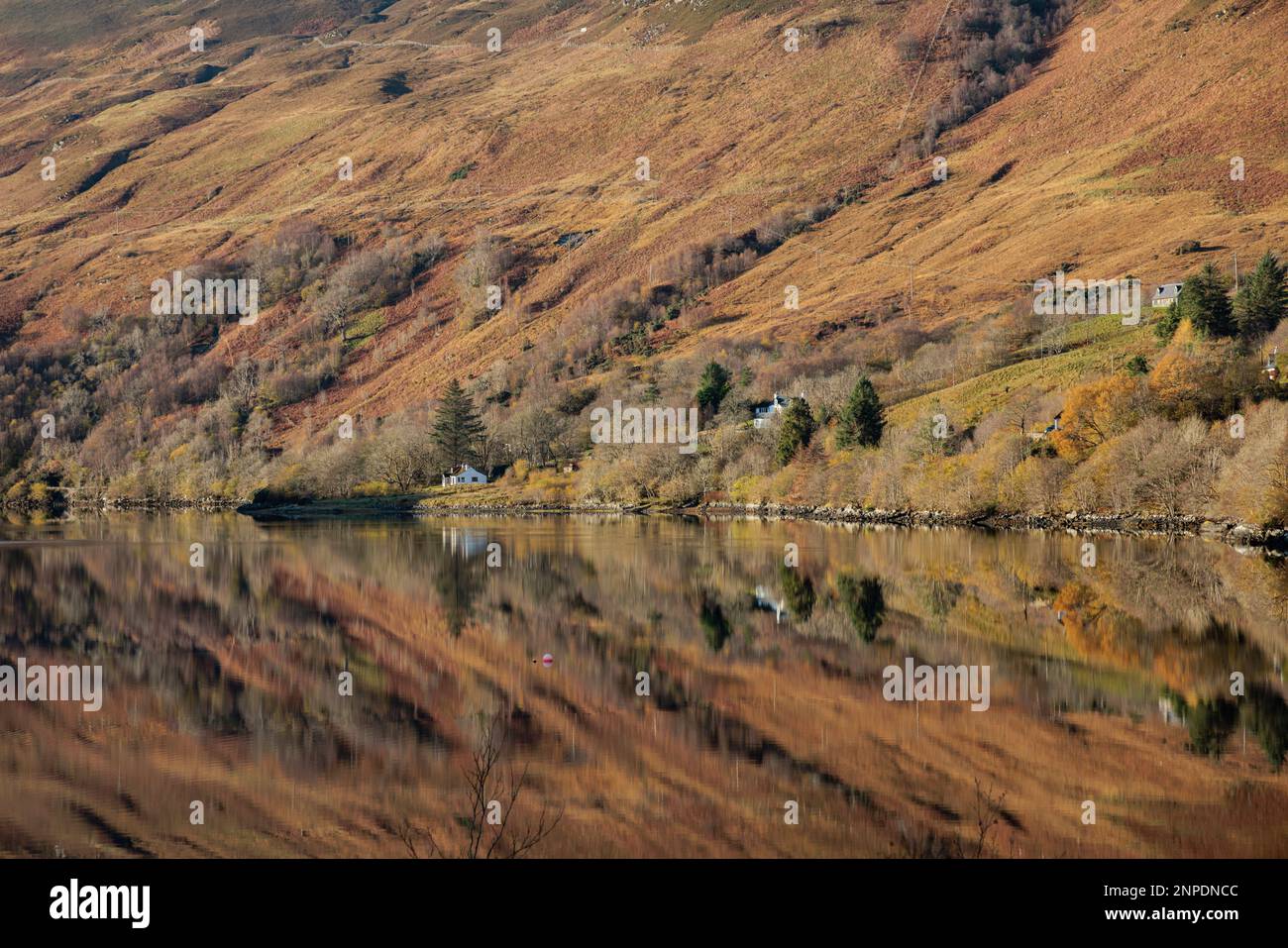 Loch Long in the Scottish Highlands Stock Photo Alamy