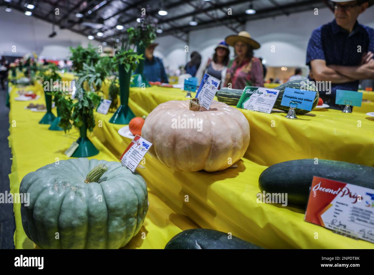 Canberra, Australia. 26th Feb, 2023. Agricultural products are on