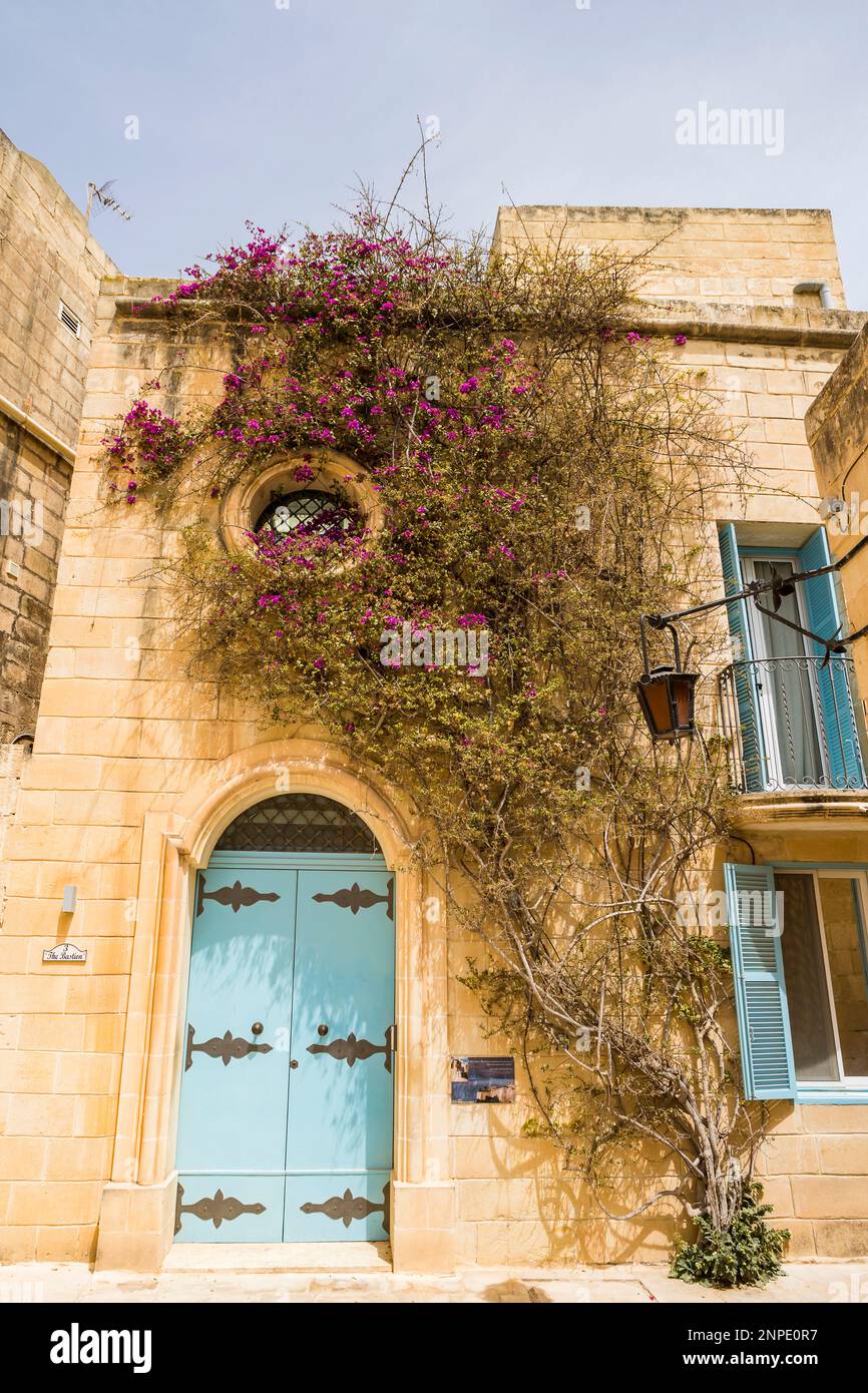 Purple flowers grow up a house with colourful shutters and doors in Mdina in Malta. Stock Photo