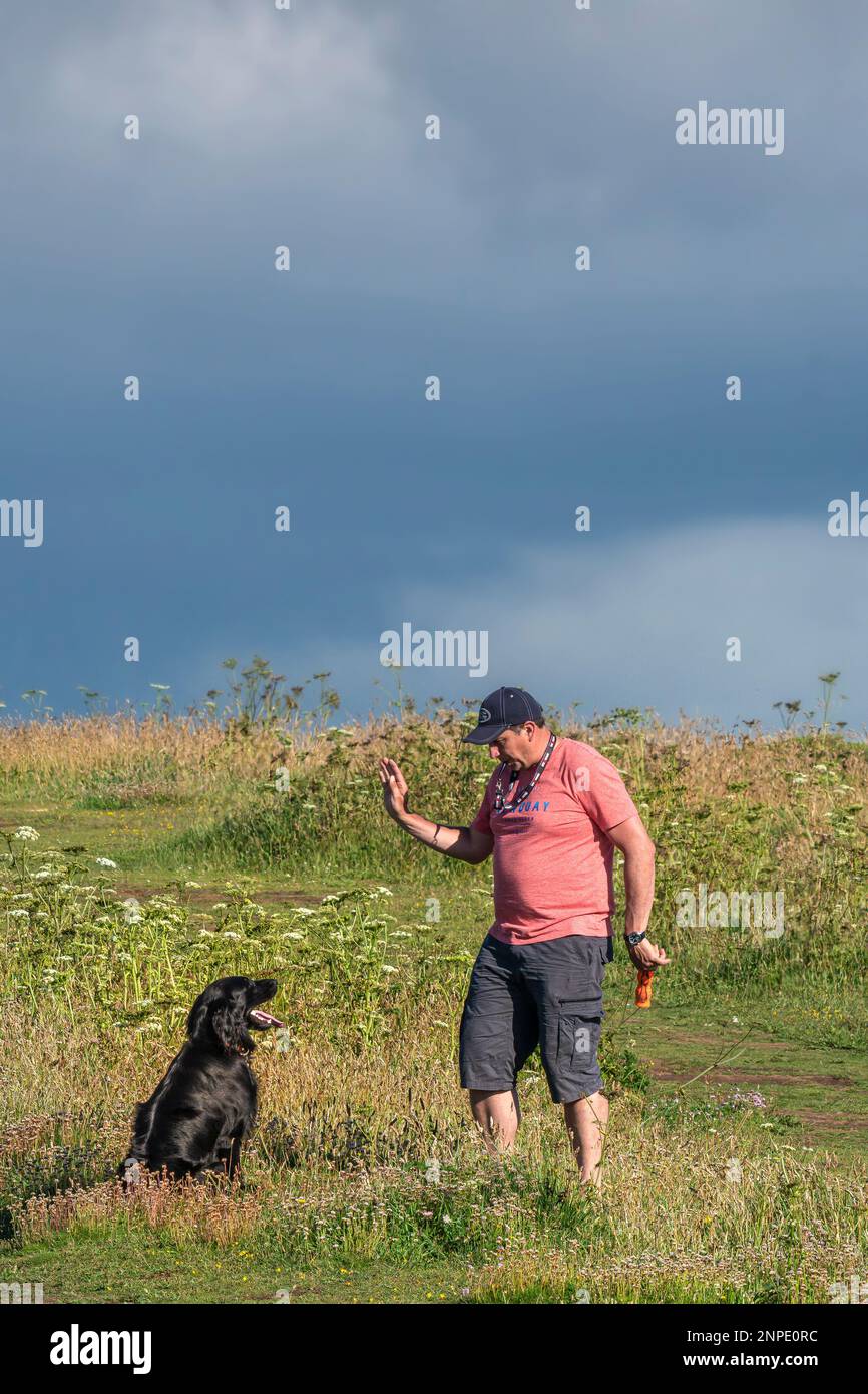 A dog owner training his black Labrador dog on Pentire Point East in