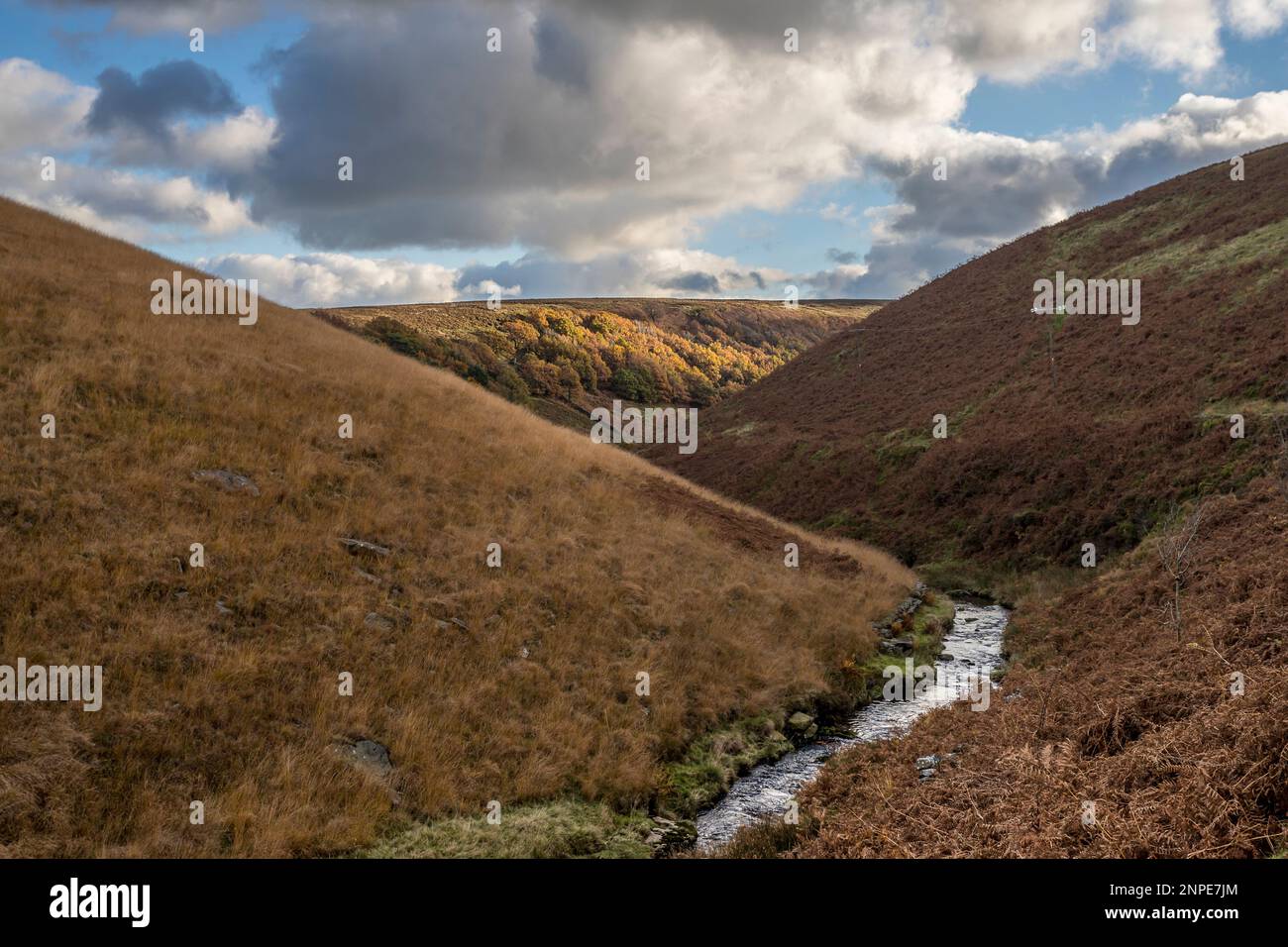 River Dane weaving round the bending valley towards Three Shires Head