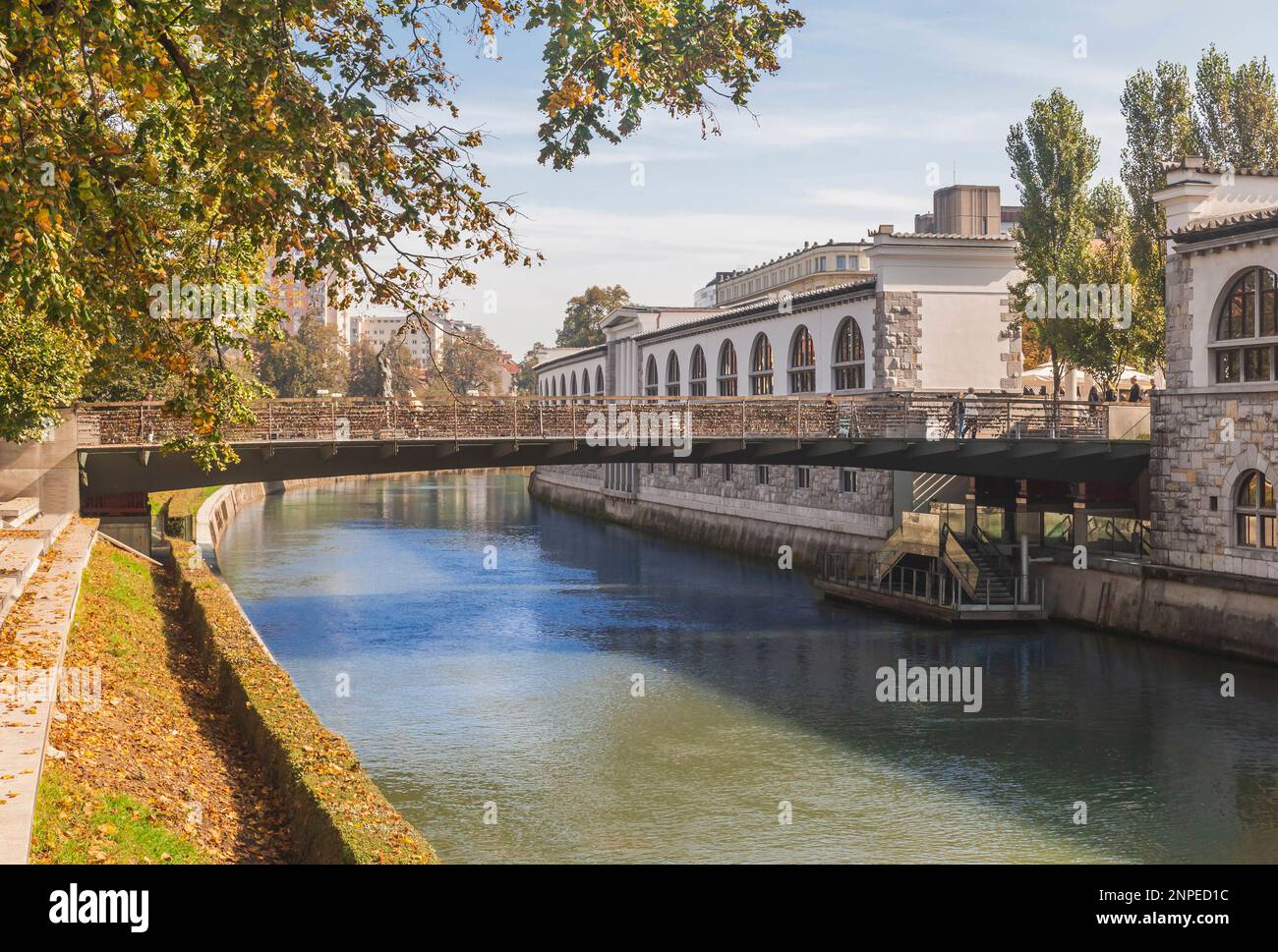 bridge in Ljubljana, on which the newlyweds hang locks Stock Photo Alamy