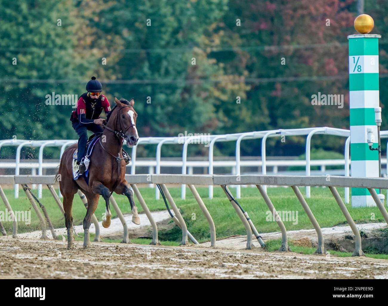 Prep for Preakness With These Products