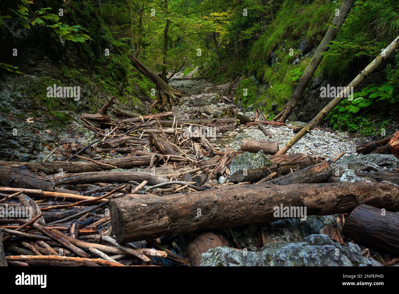 Slovakia Raj The trail through the beautiful canyon of the Slowacki Raj National ...
