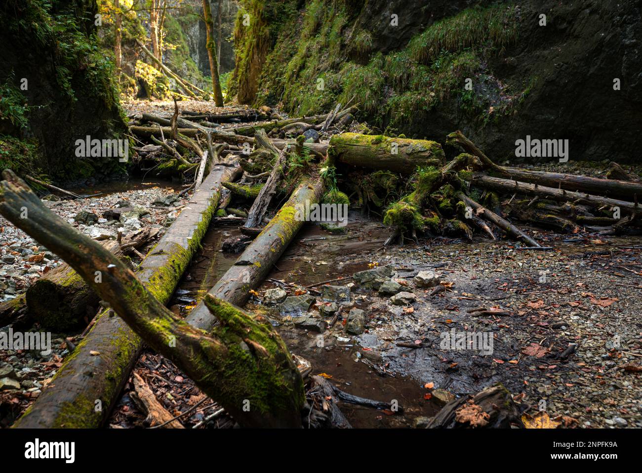 Slovakia Raj The trail through the beautiful canyon of the Slowacki Raj National ...
