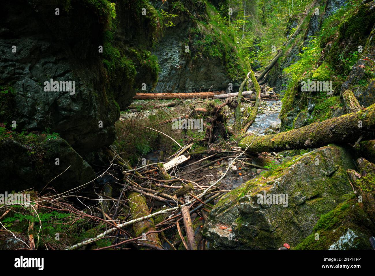 Slovakia Raj The trail through the beautiful canyon of the Slowacki Raj National ...