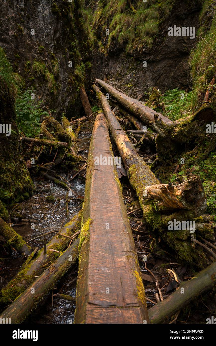 Slovakia Raj The trail through the beautiful canyon of the Slowacki Raj National ...