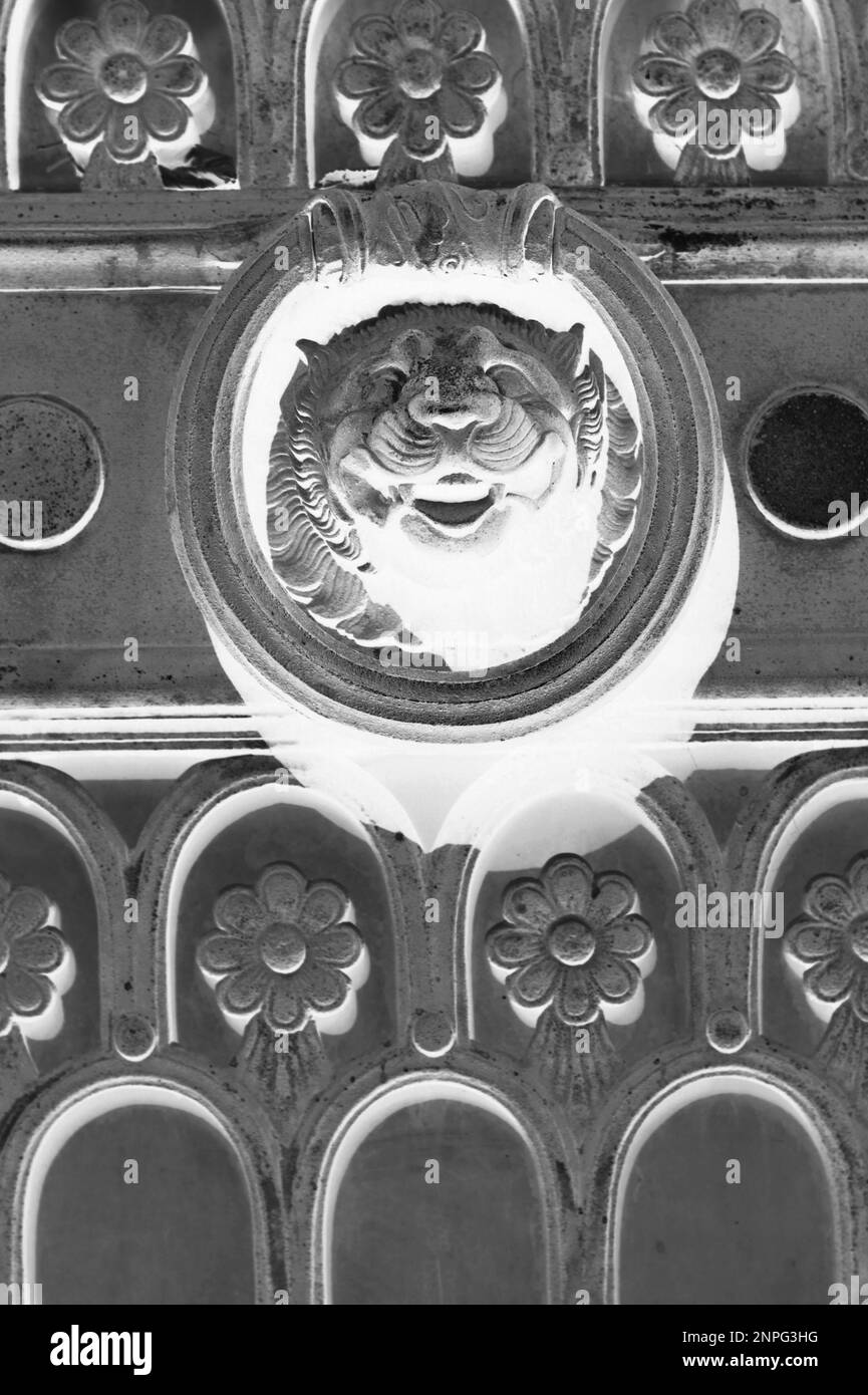 A vintage traditional medieval lion's head door knocker in a black and white monochrome film negative. Stock Photo