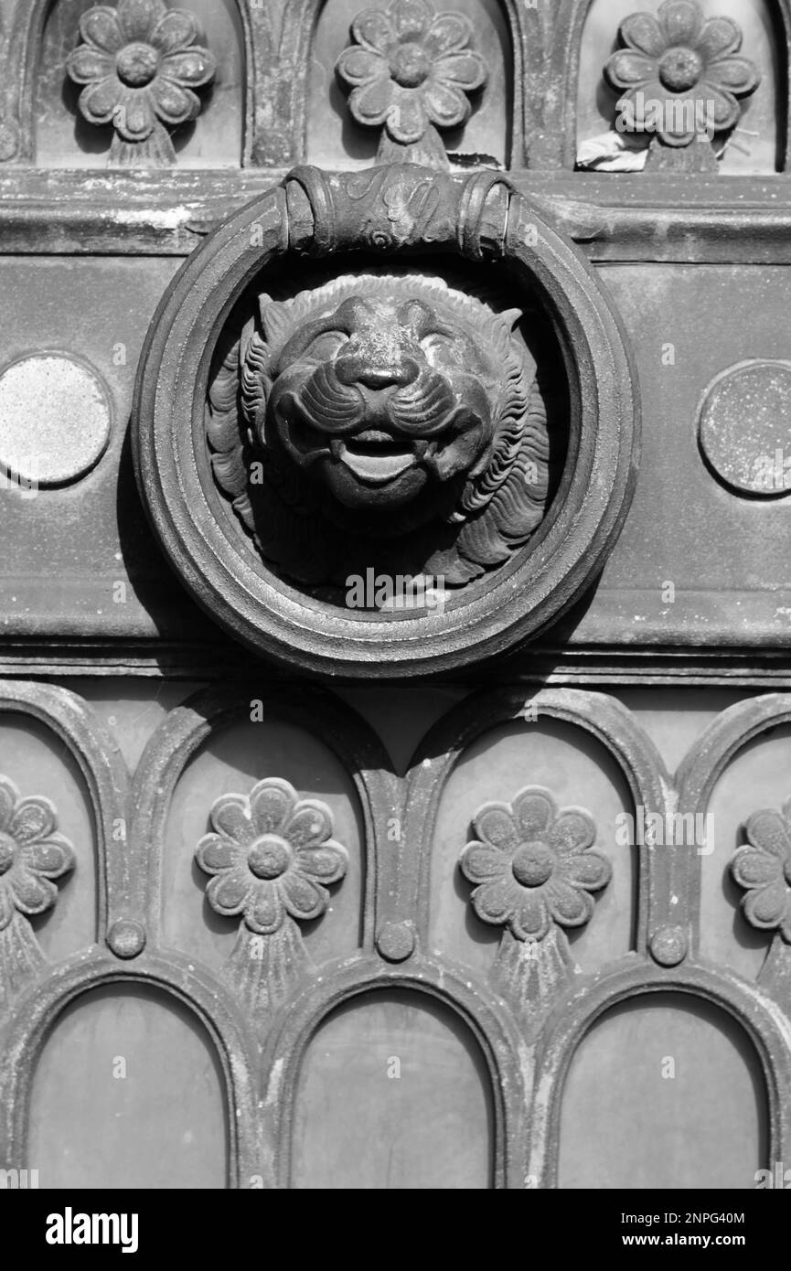 A vintage traditional medieval lion's head door knocker in a black and white monochrome. Stock Photo
