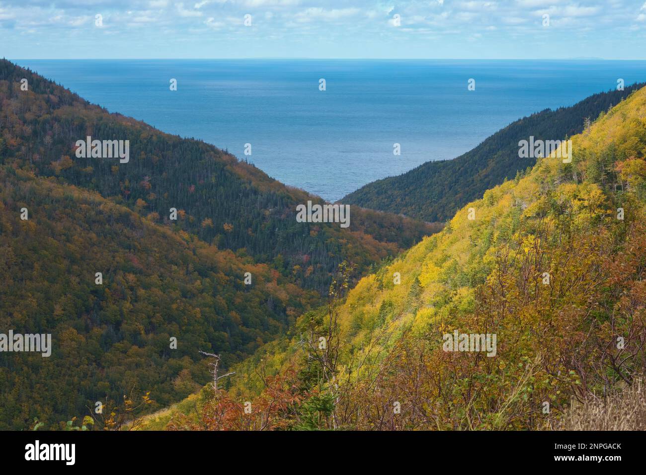Cape Breton Highlands photographed in the early autumn from a high