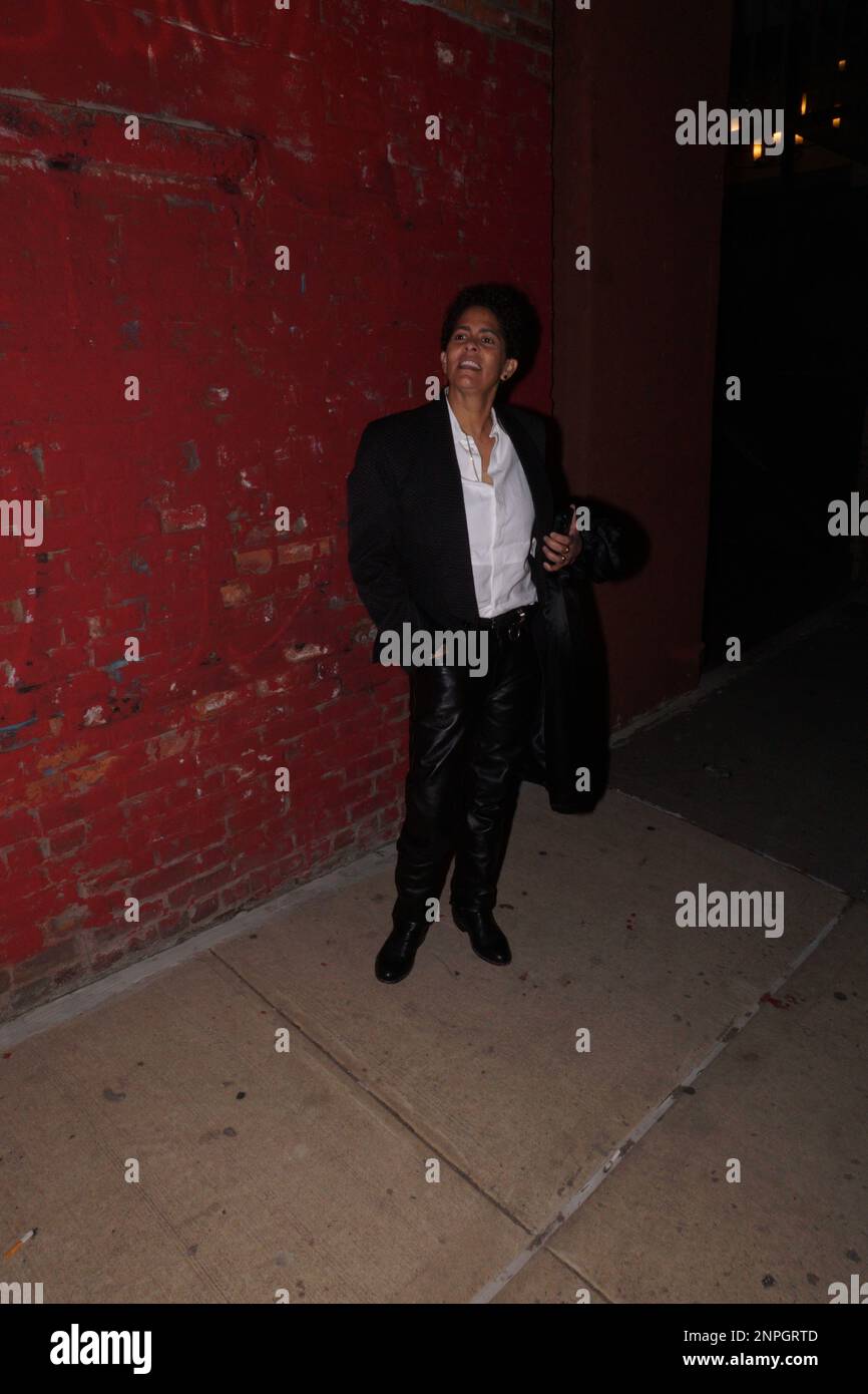 Julie Mehretu Arrives At AMREF Health Africa s ArtBall 2023 Stock Photo Julie Mehretu Arrives At AMREF Health Africa s ArtBall 2023 Stock Photo