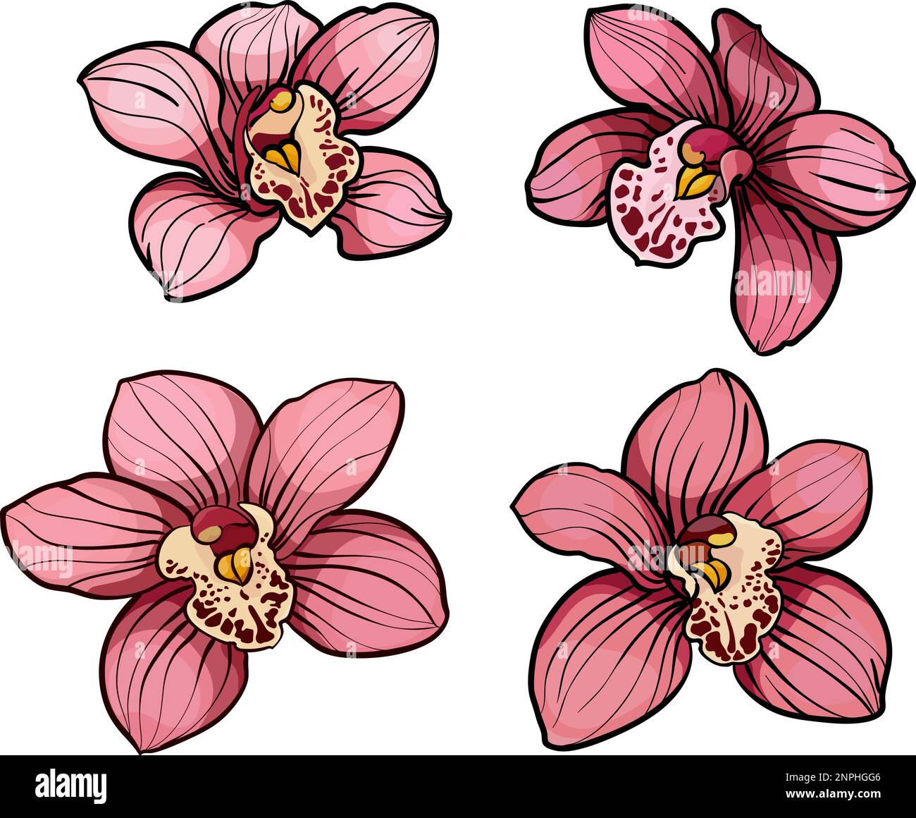 Orchid flowers buds in Stock Vector Images - Alamy