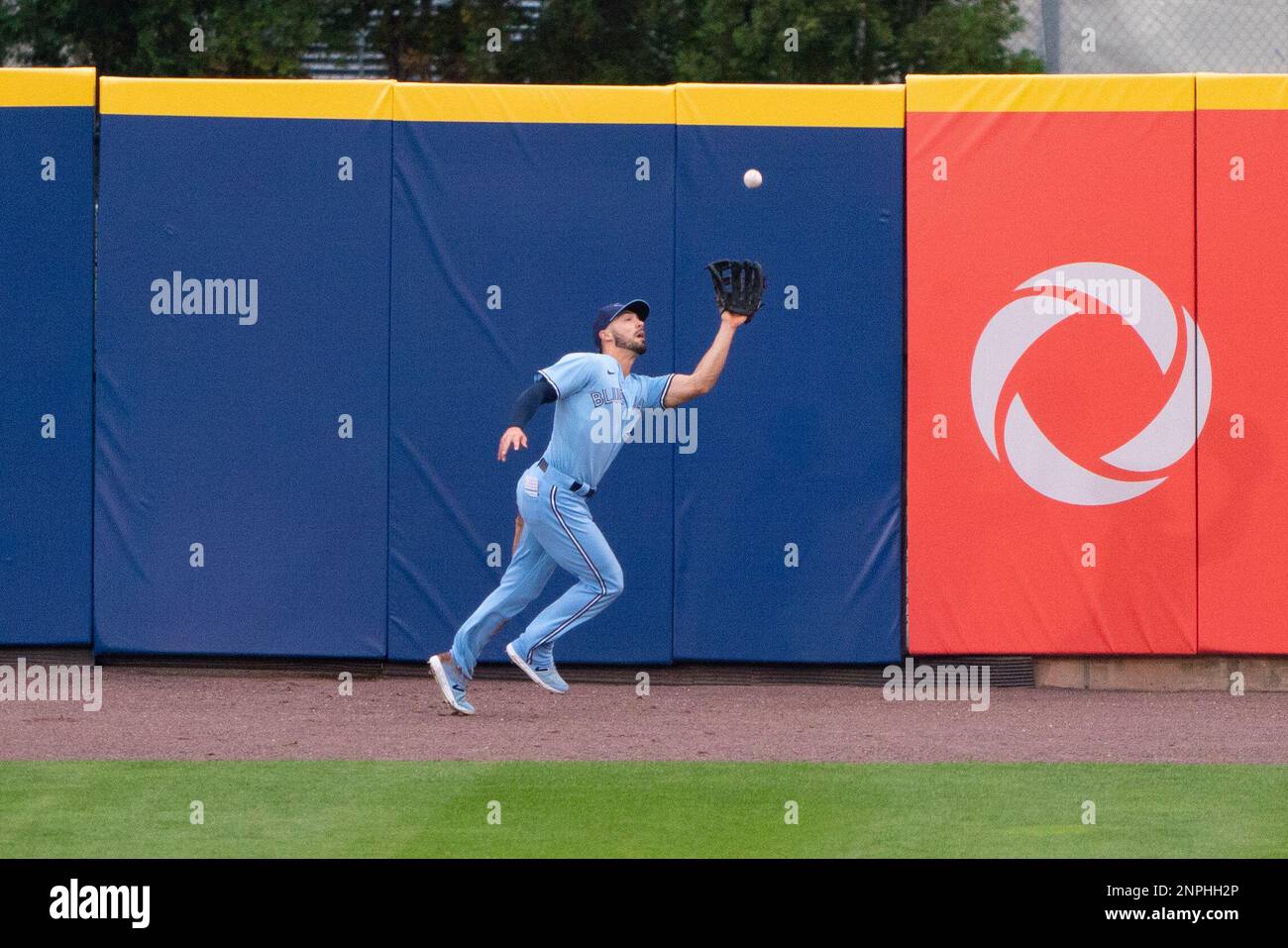 Randal Grichuk - ABC7 New York