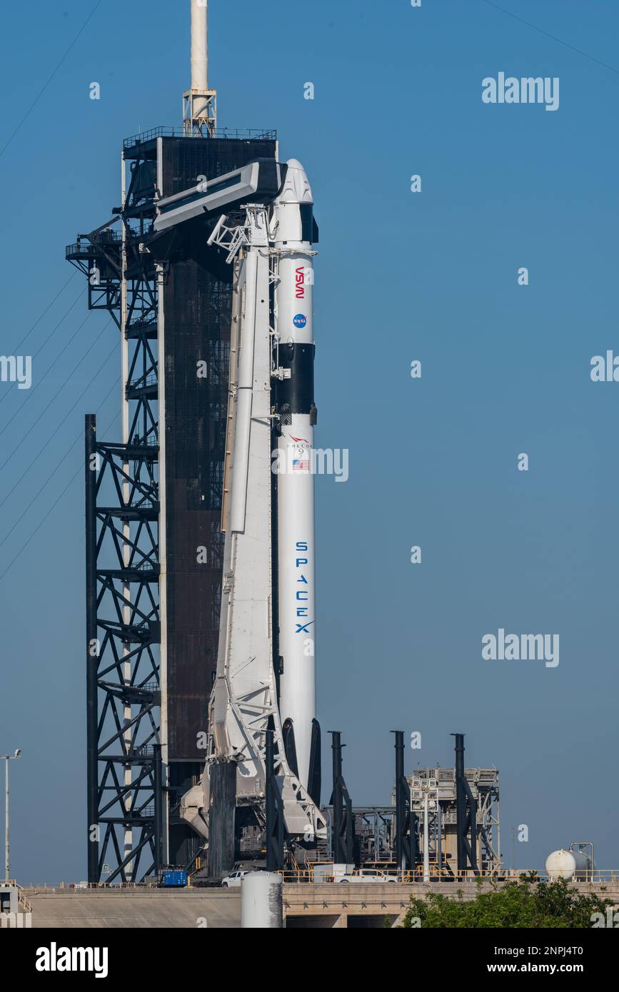 SpaceX Falcon 9 With Crew Dragon Capsule Stock Photo