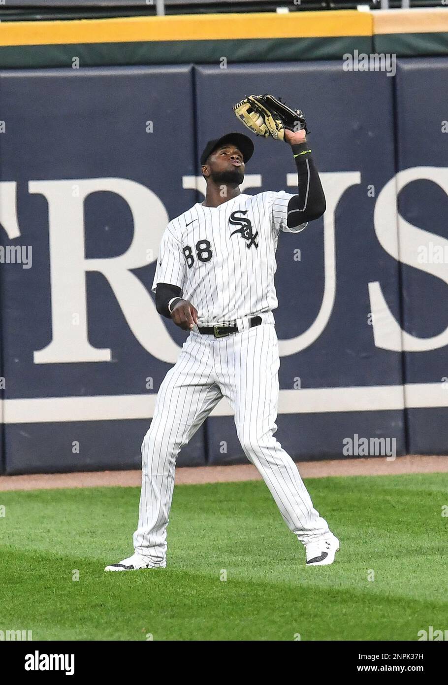 Luis Robert Chicago White Sox Pictures and Photos  Getty Images  Chicago  white sox Chicago white sox baseball White sox baseball