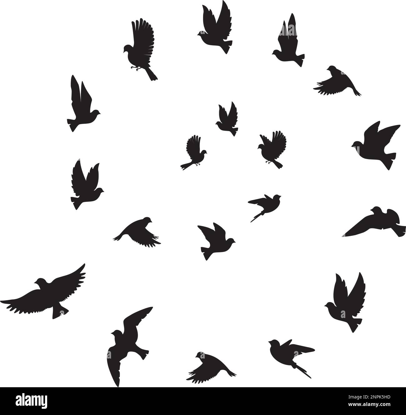 Birds flock flying in harmony making the sign of infinity, vector