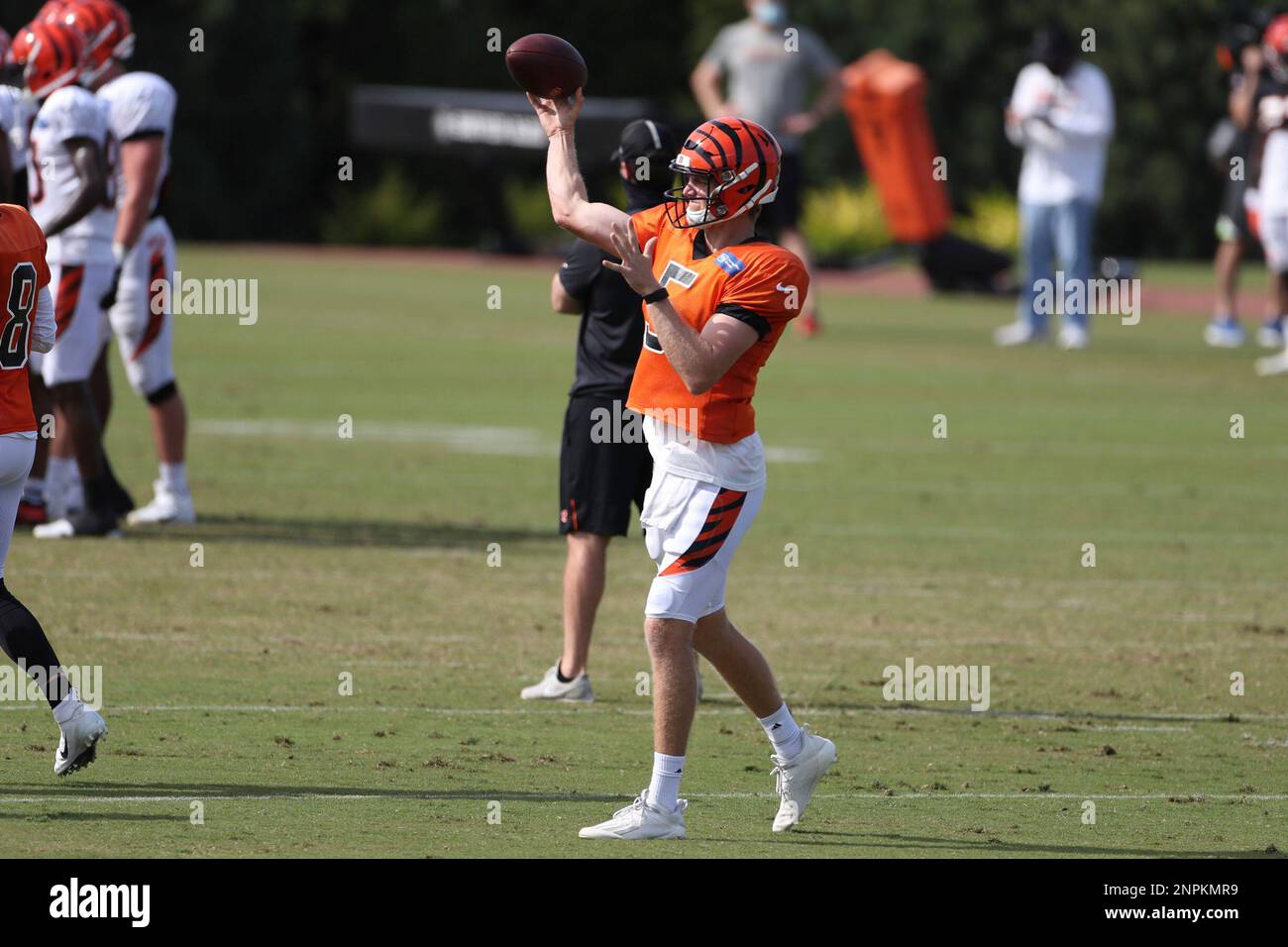 CINCINNATI, OH - AUGUST 21: Cincinnati Bengals quarterback Joe