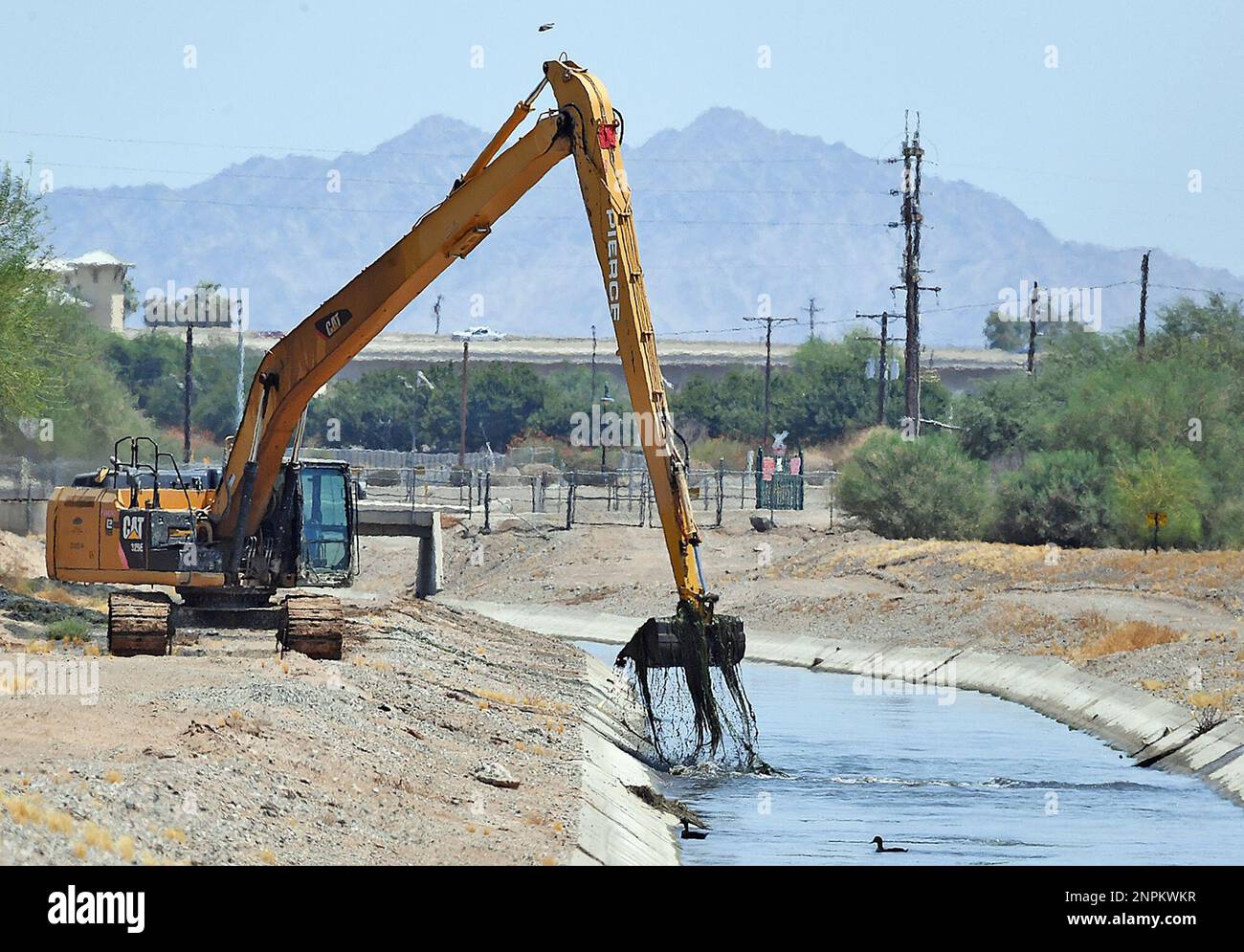 A Caterpillar hydraulic excavator pulls a load of moss and other debris