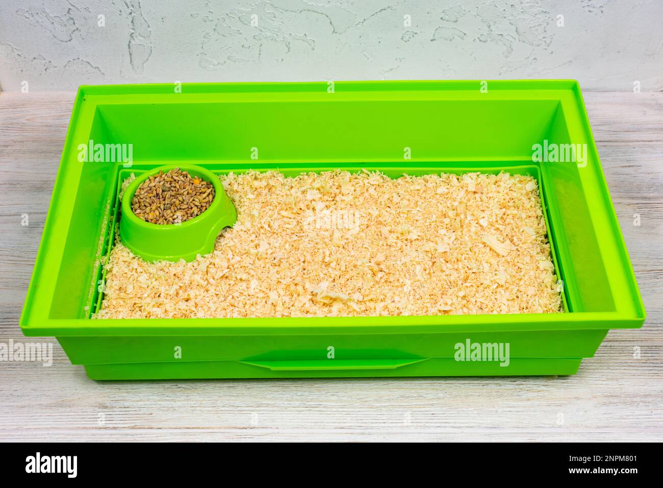 Green pet cage tray with sawdust and food trough Stock Photo Alamy
