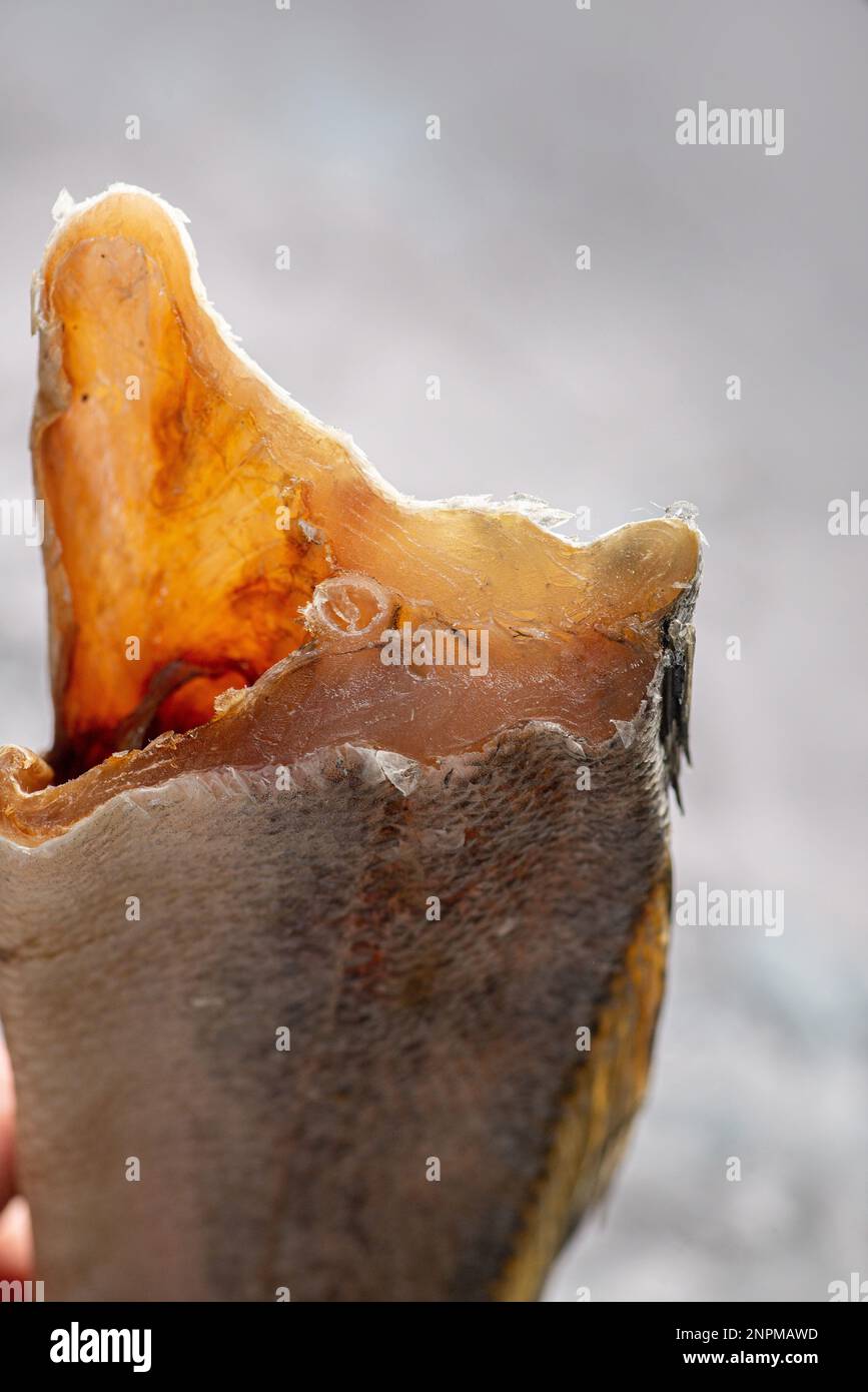 Salted dried fish. Fish appetizer for beer. Stockfish pikeperch Stock Photo
