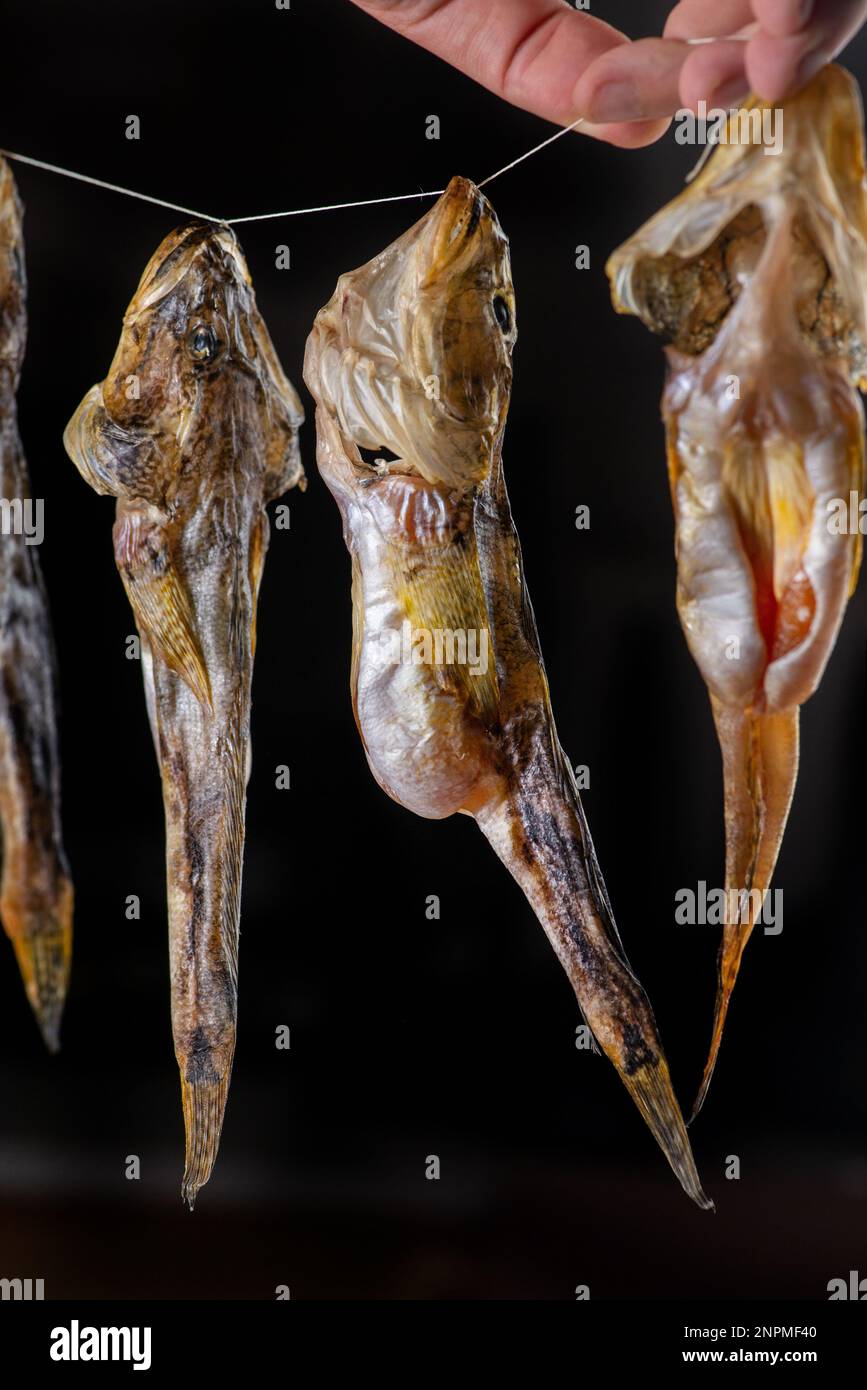 Salted dried goby fish. Fish appetizer for beer. Stockfish Stock Photo