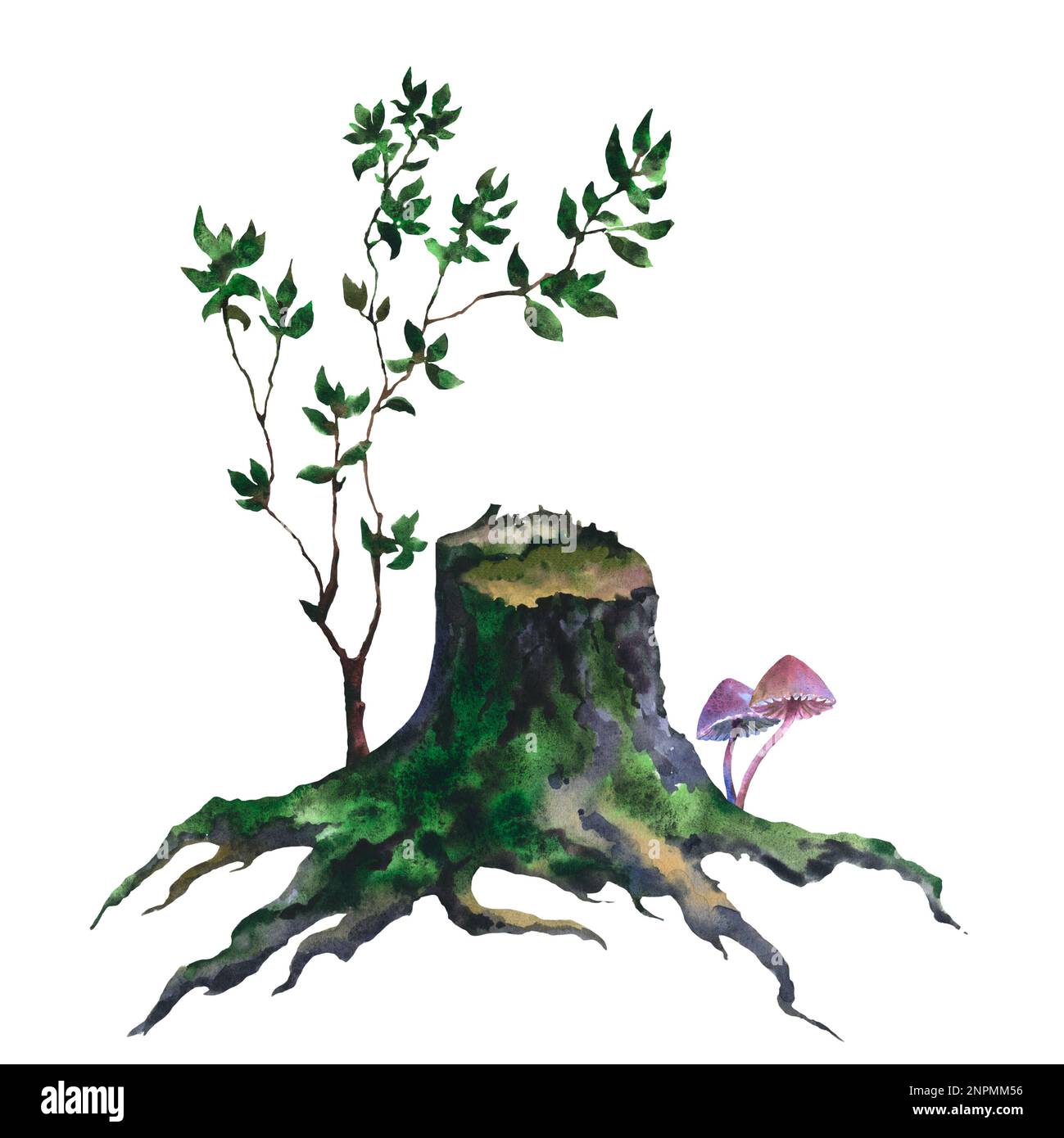 Picture of an old stump, tree cut trunk with green moss, fantasy toxic Halloween mushrooms, and young tree with dark green leaves, hand painted in wat Stock Photo