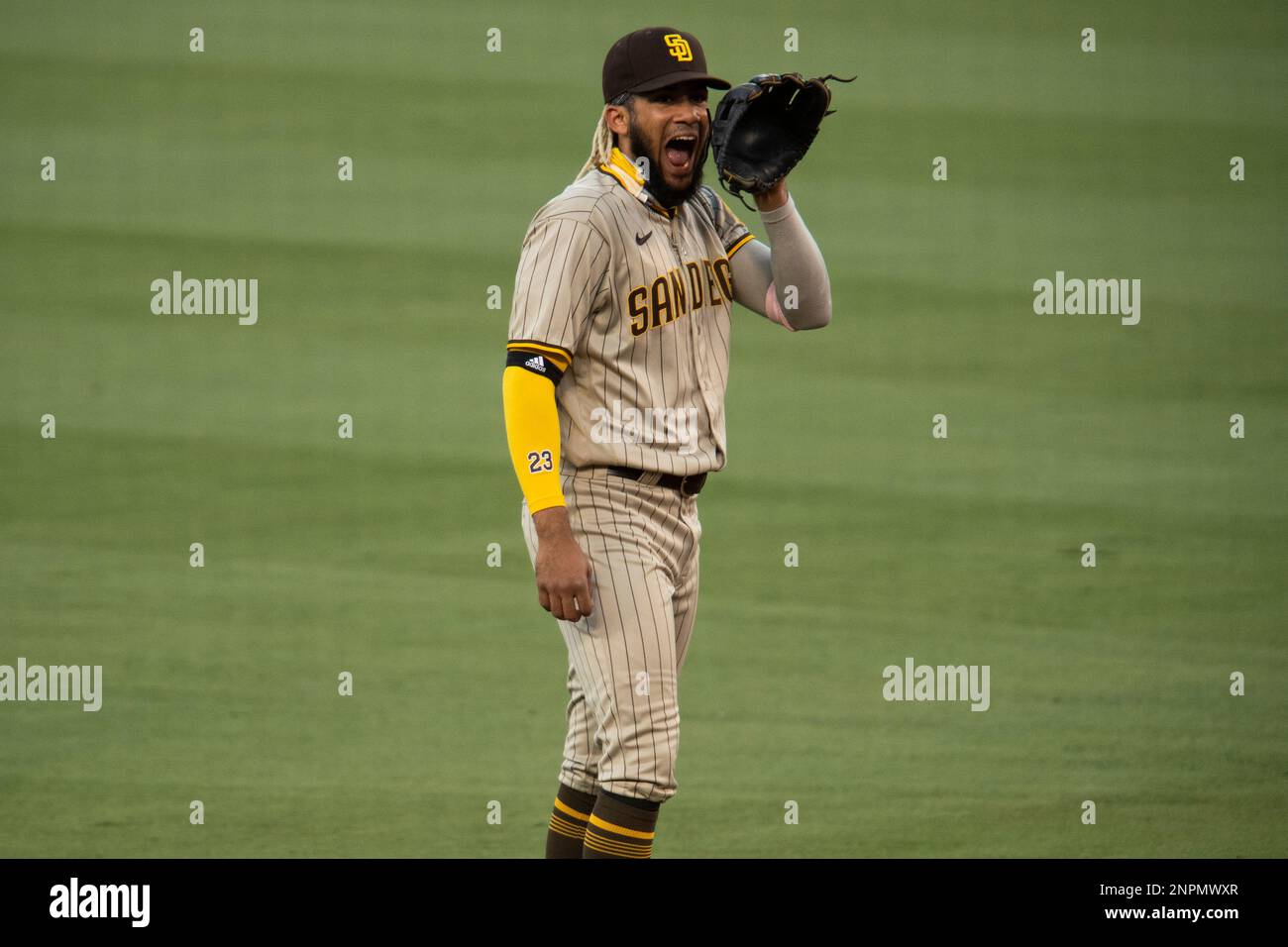 LOS ANGELES, CA - AUGUST 12: San Diego Padres shortstop Fernando Tatis ...