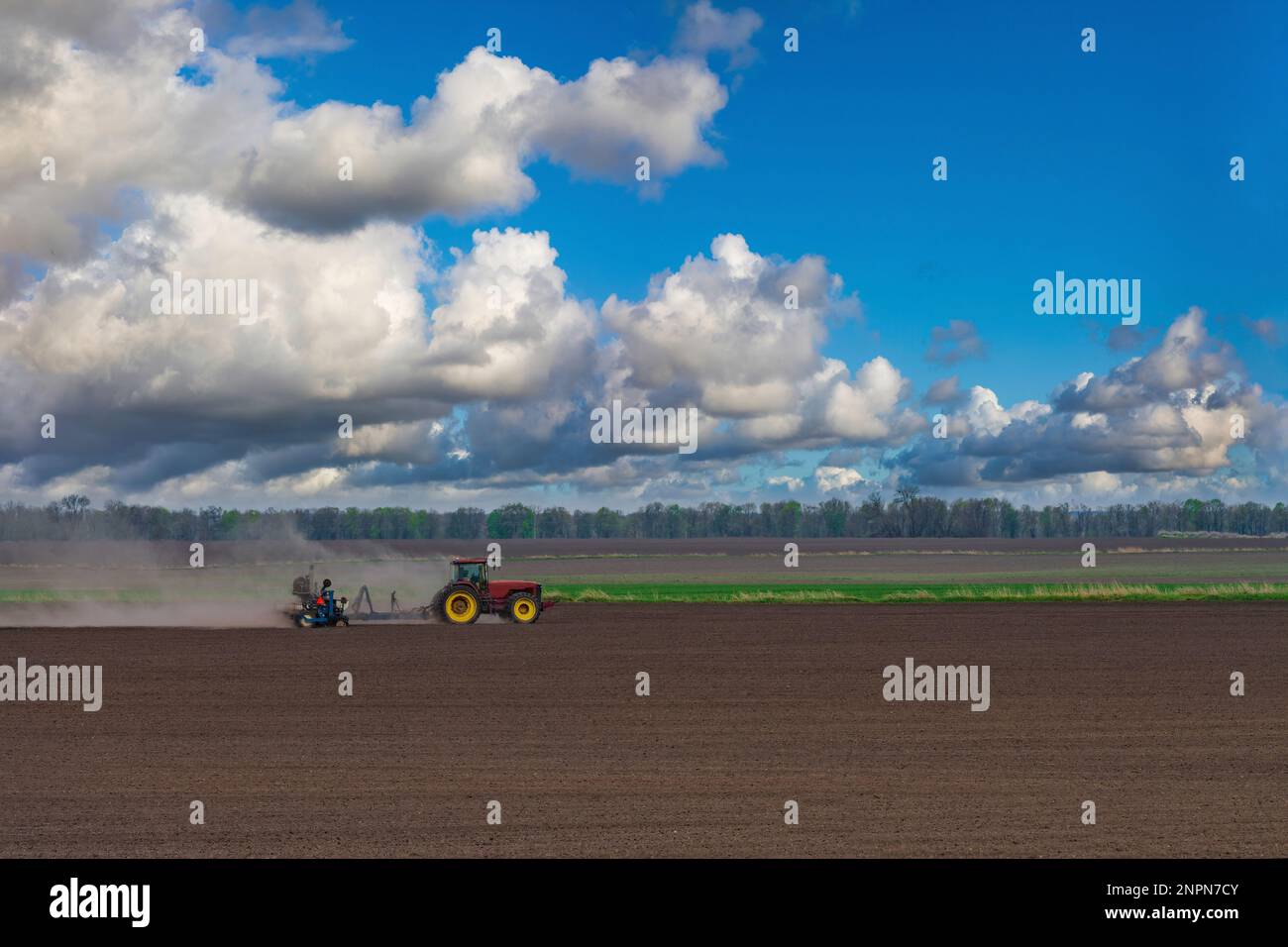 Red tractor plows the farm field. Vibrant spring countryside scene. Agriculture industry. Stock Photo