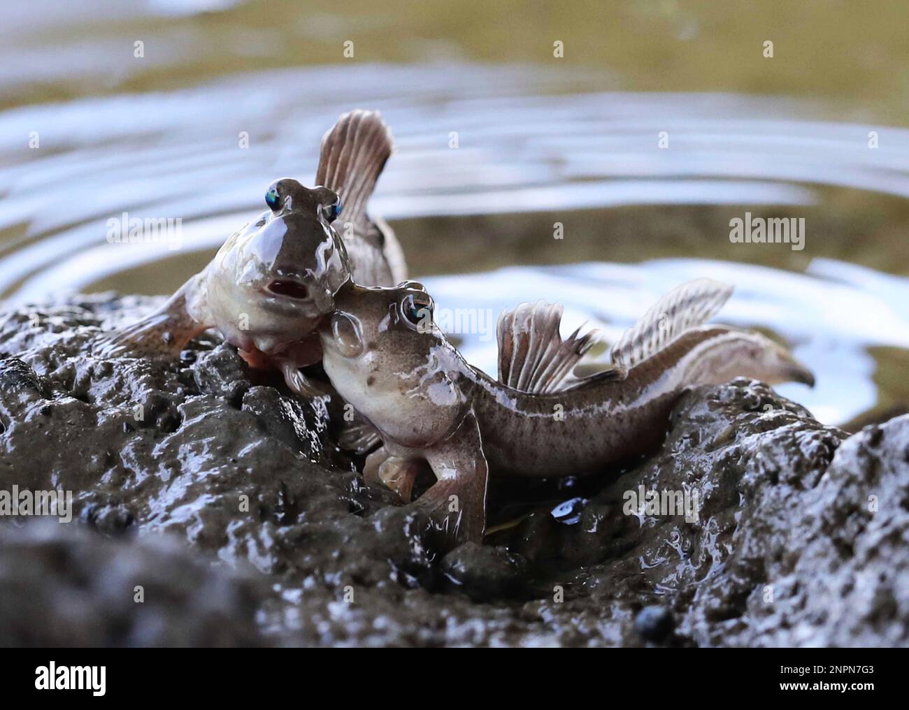 U tashrif buyurgan jinsiy aloqa Onlayn porno video tomosha onam ogliga sikishni orgatadi