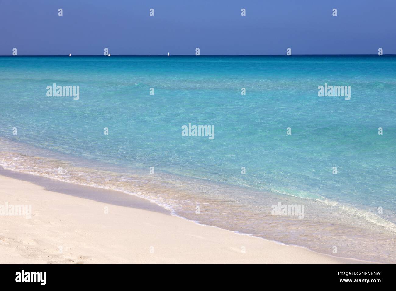 Tropical beach with white sand on a ocean, view to blue waves and sky. Background for holidays on a paradise nature Stock Photo