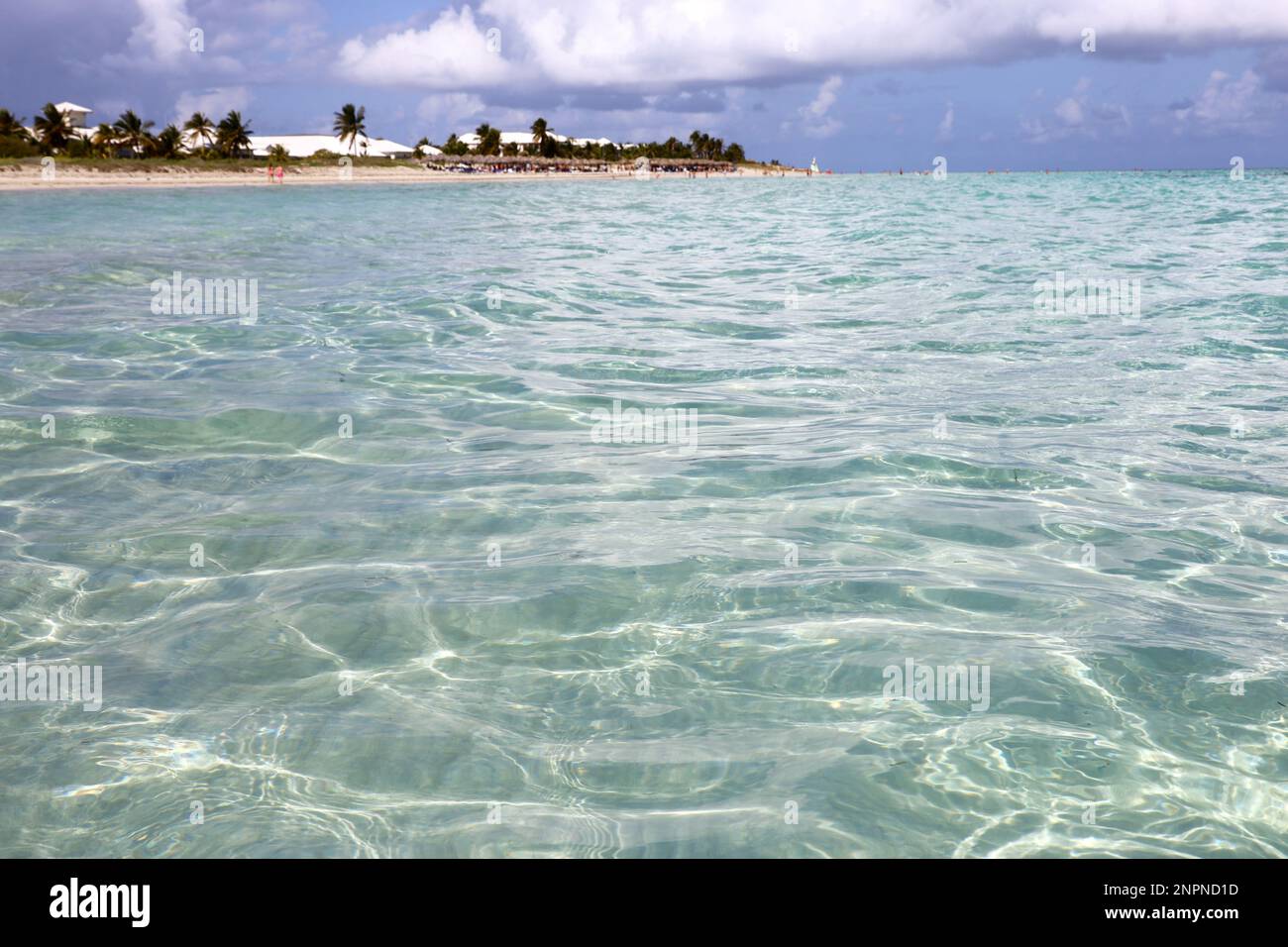 Defocused view from the water surface to tropical beach with tanning and swimming people, sandy ocean coast and coconut palm trees. Sea resort Stock Photo