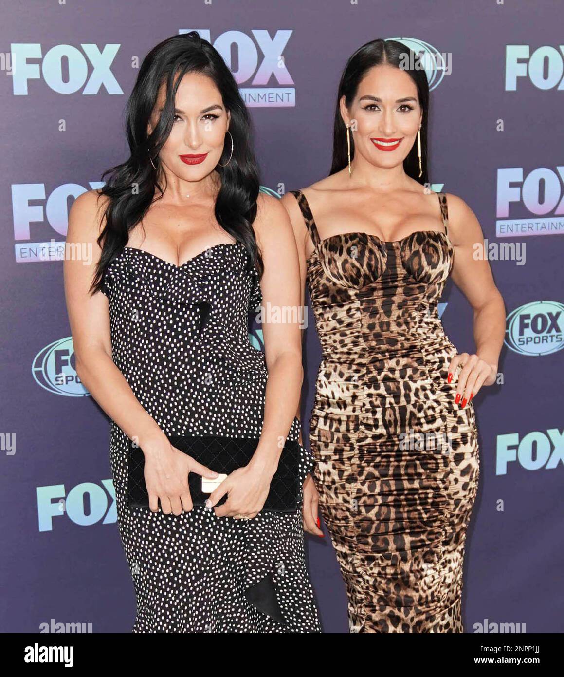 August 2nd 2020 Brie Bella And Nikki Bella Have Both Given Birth One august-2nd-2020-brie-bella-and-nikki-bella-have-both-given-birth-one