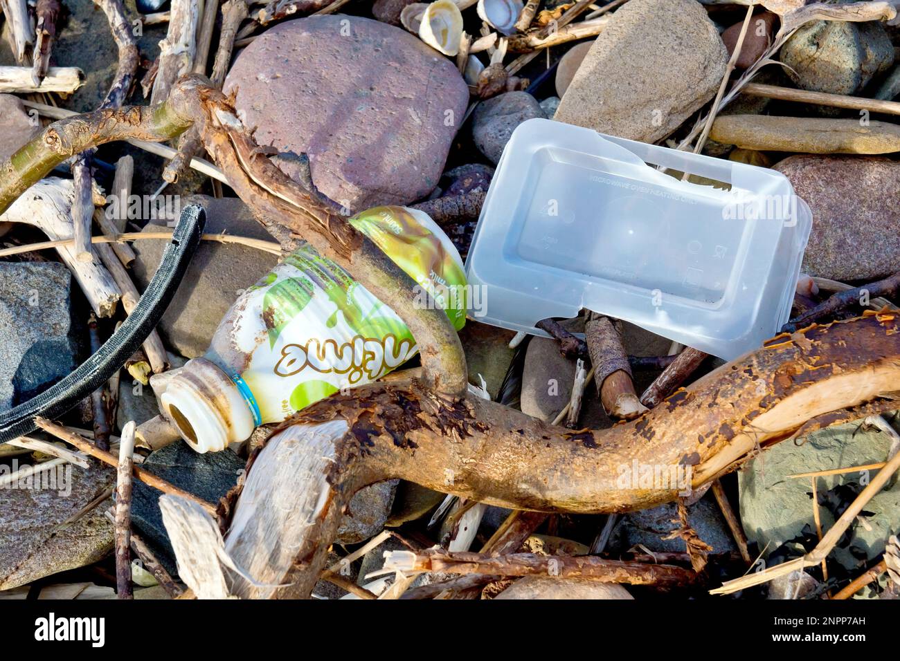 Close up of discarded single use plastic containers washed up on a pebble beach. Stock Photo