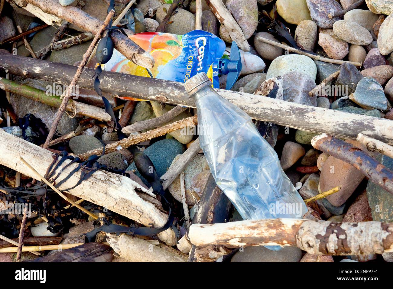 Close up of discarded single use plastic containers washed up on a pebble beach. Stock Photo