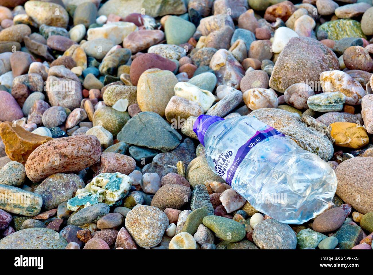 Close up of a discarded single use plastic bottle washed up on a pebble beach. Stock Photo