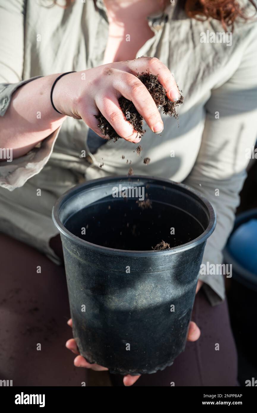 Woman with brown curly hair is putting soil in a black pot with her