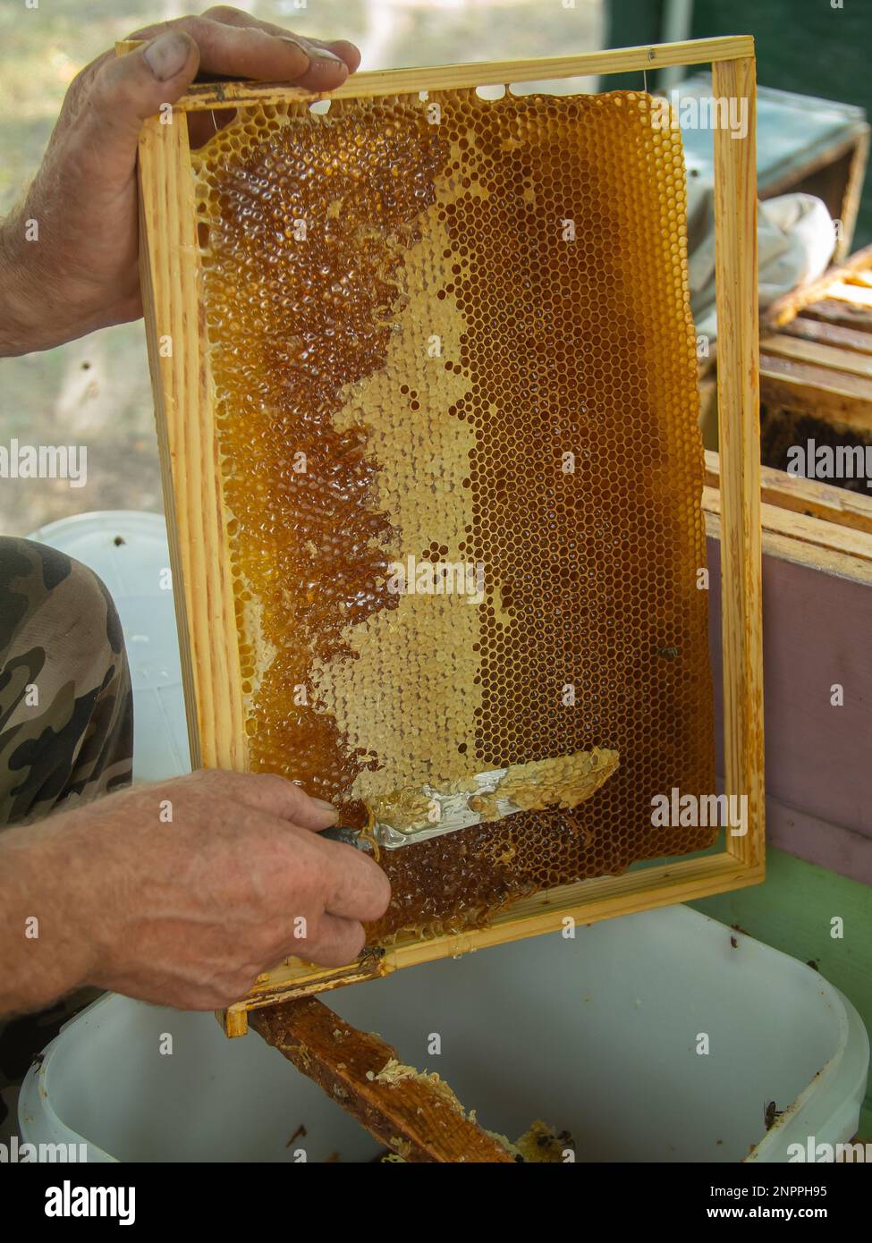 Extracting honey from concept. Close up view of beekeeper