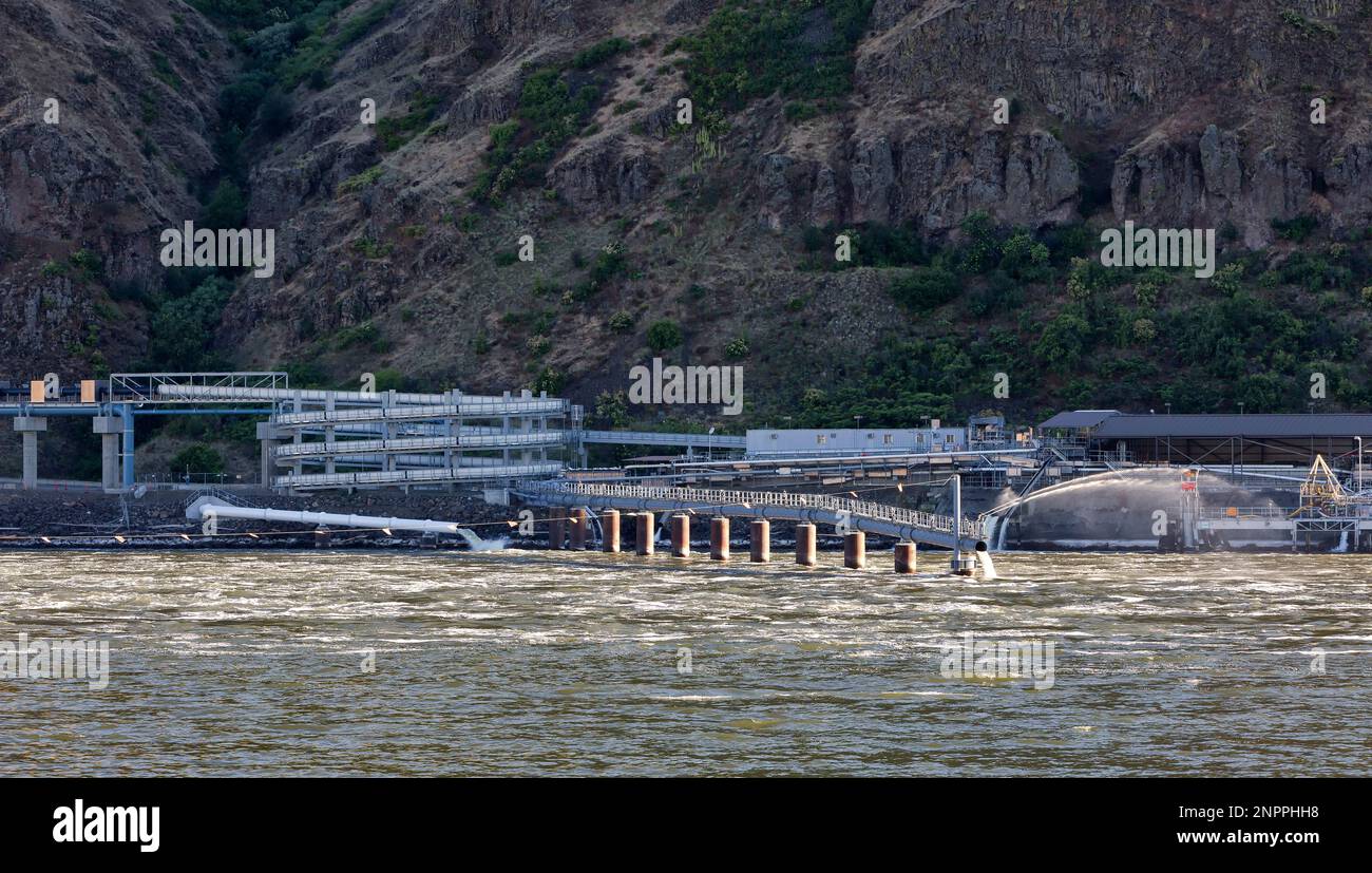 Fish Ladder, Lower Granite Dam & Lock, upstream migrating fish, salmon & steelhead, navigation lock, Snake River, Columbia River Basin. Stock Photo