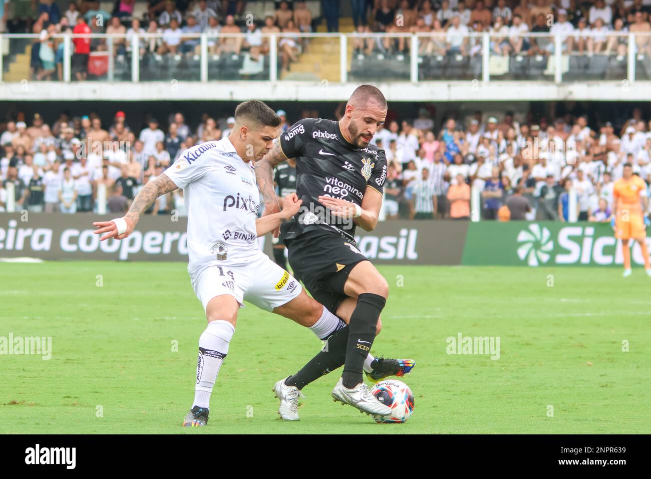 SP Santos 02/26/2023 PAULISTA 2023 SANTOS X CORINTHIANS