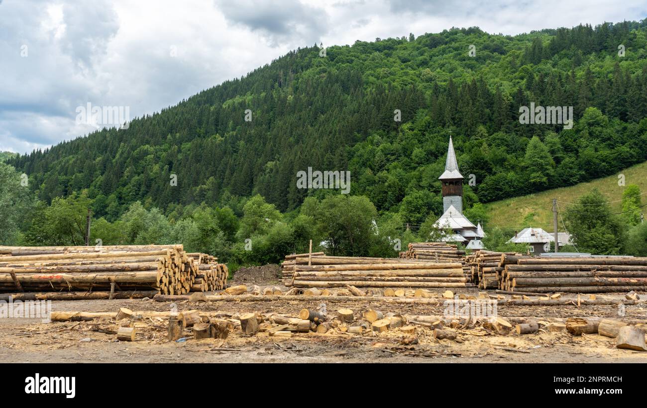 View of a cut forest in Transylvania. Save the forest. Stock Photo
