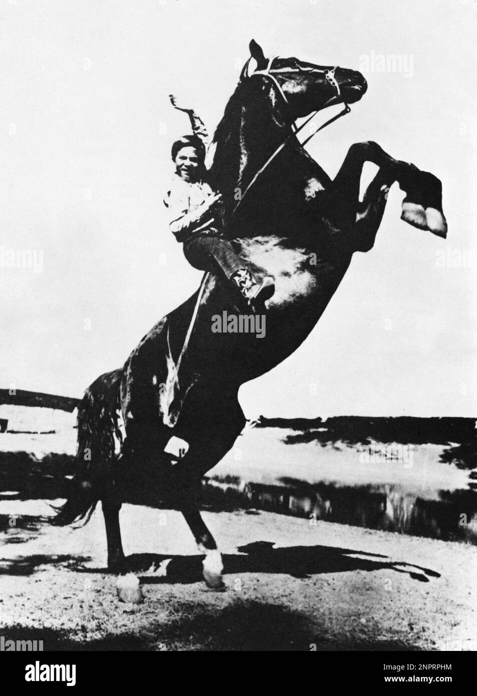 1950 : The young actor BOBBY DIAMOND ( Bob - Robert - born 23 august 1943 , Los Angeles , CA ) as Joey Newton in the TV Series FURY ( Furia cavallo del West ) from 1955 to 1960 , directed by Ray Nazarro - TELEVISIONE - TELEFILM - CINEMA - cavallo - horse -  stallone - Western ----  Archivio GBB Stock Photo