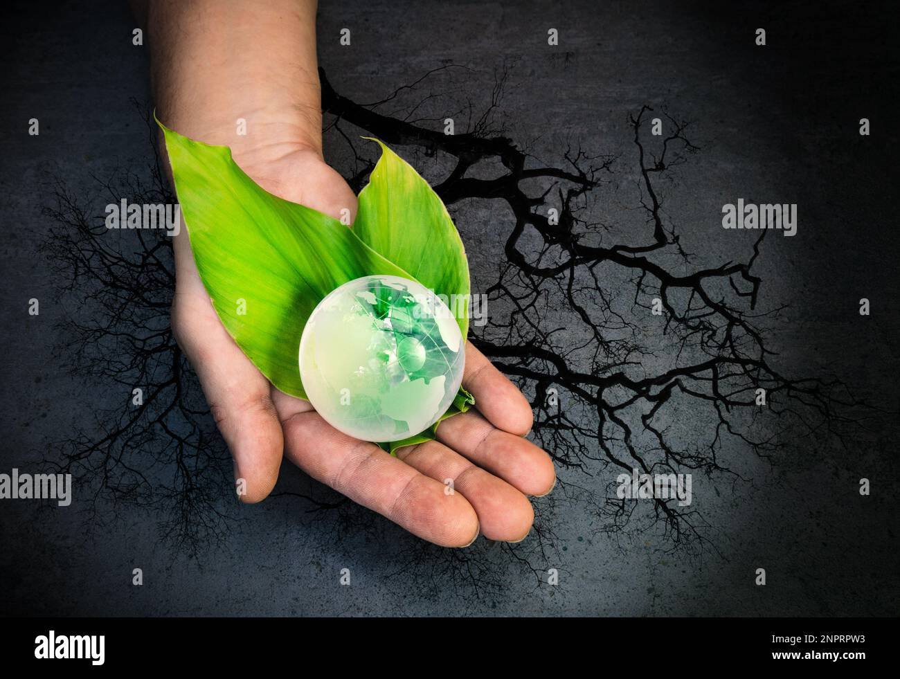Human hands holding a green globe of planet Earth on leaves over tree ...
