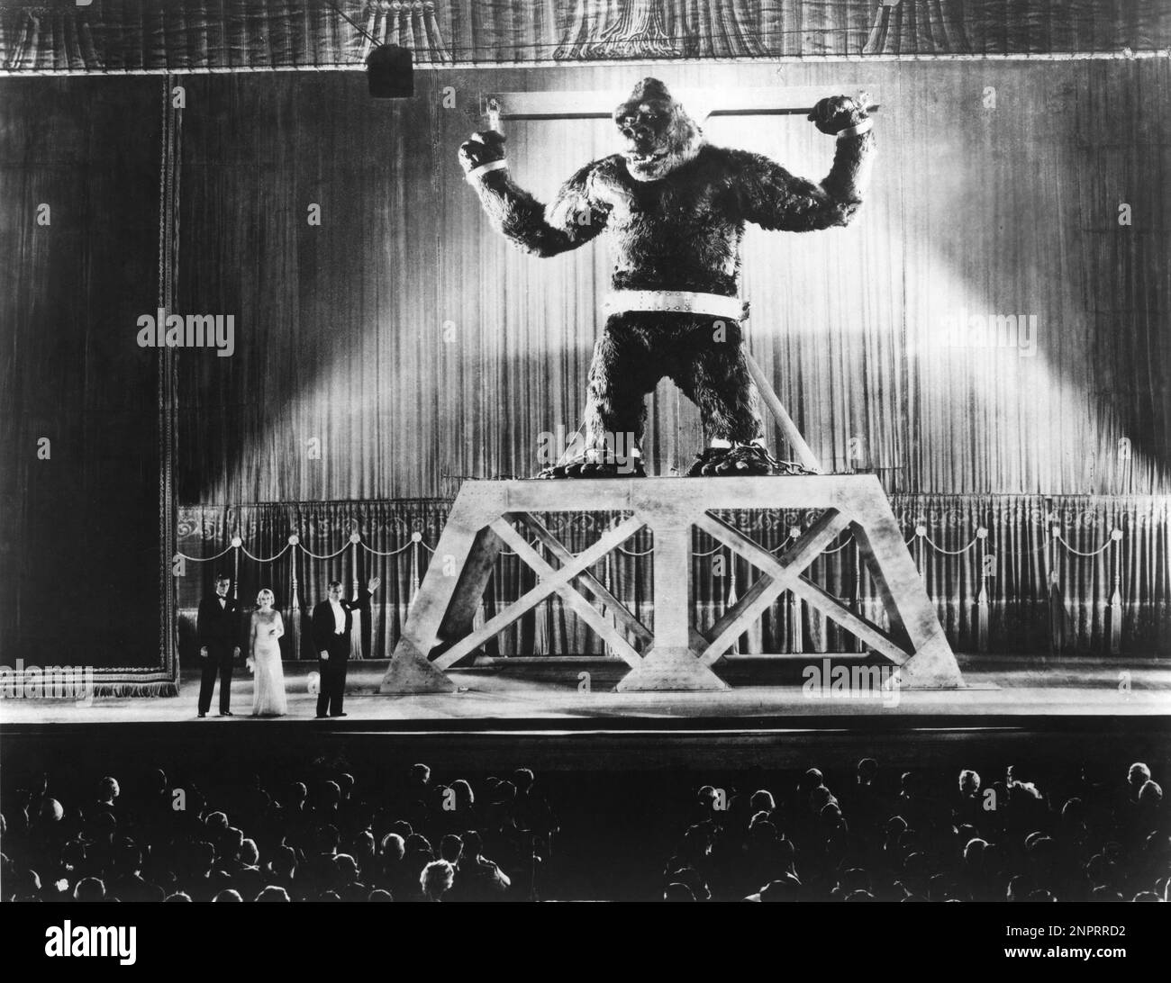 1933 : Fay Wray , Bruce Cabot and Carl Denham in KING KONG by Merian C. Cooper & Ernest B. Schoedsack , from the novel by Edgar Wallace - CINEMA - FILM - MOVIE  - giant gorilla - scimmia - monkey -  performance - show - fenomeno da baraccone - triller - palcoscenico - scene ----  Archivio GBB Stock Photo